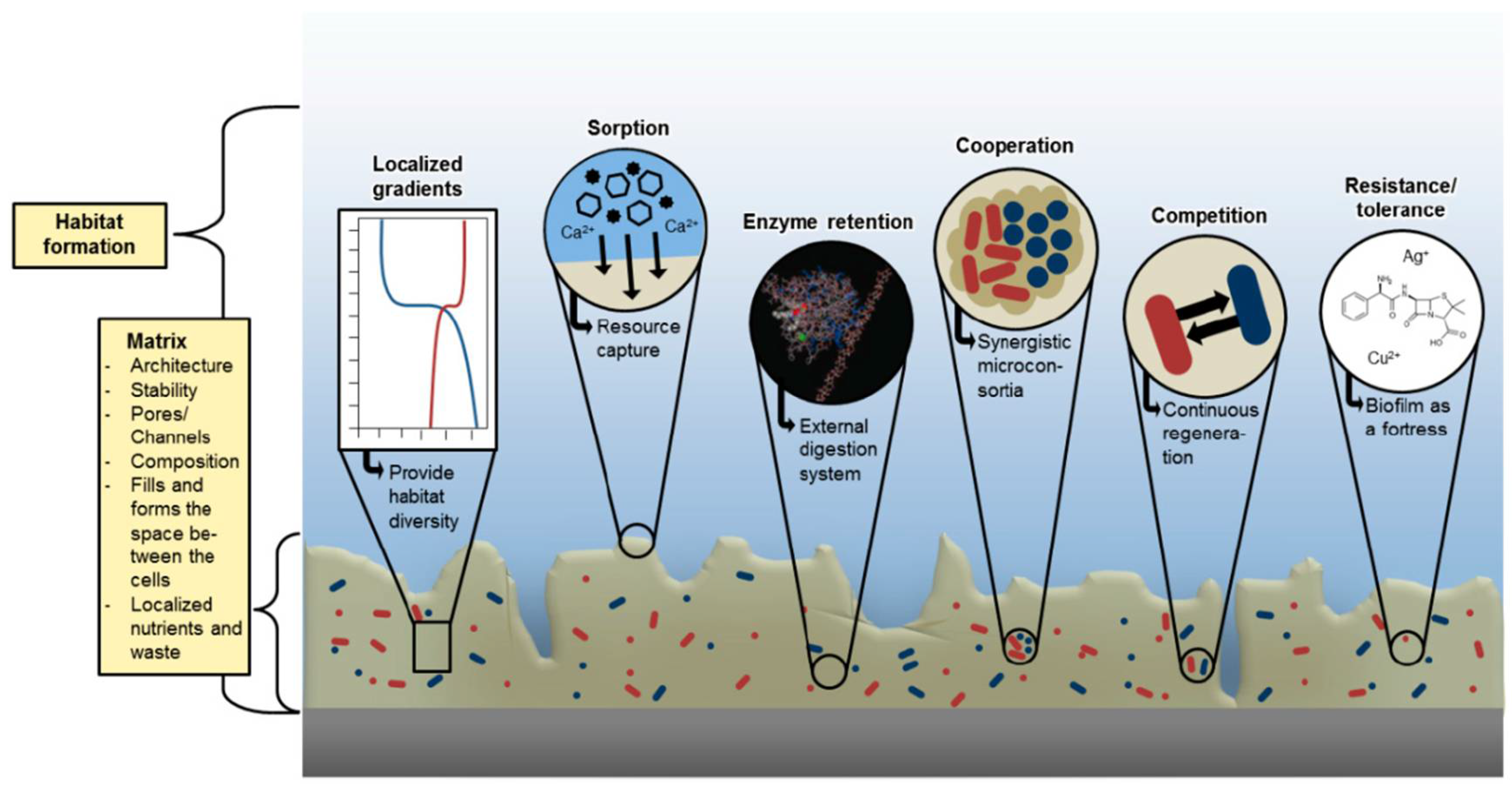 Applsci 08 00845 g002