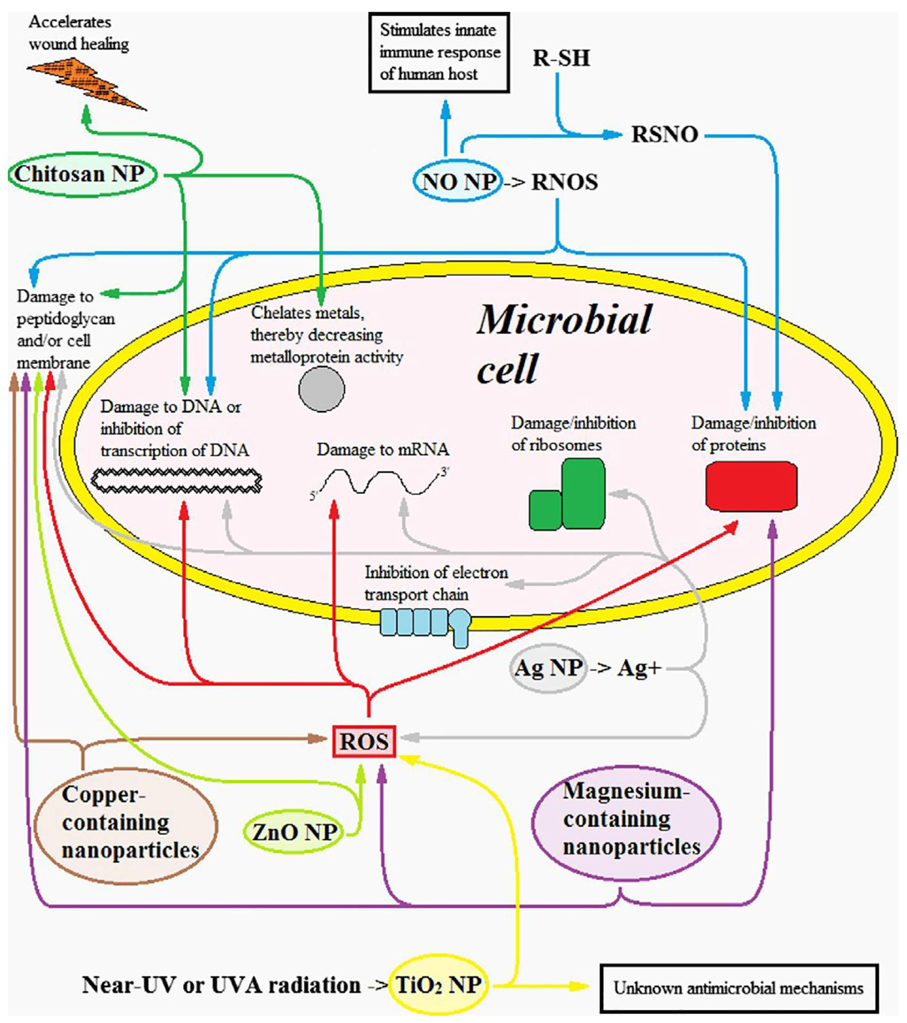 Applsci 08 00845 g005