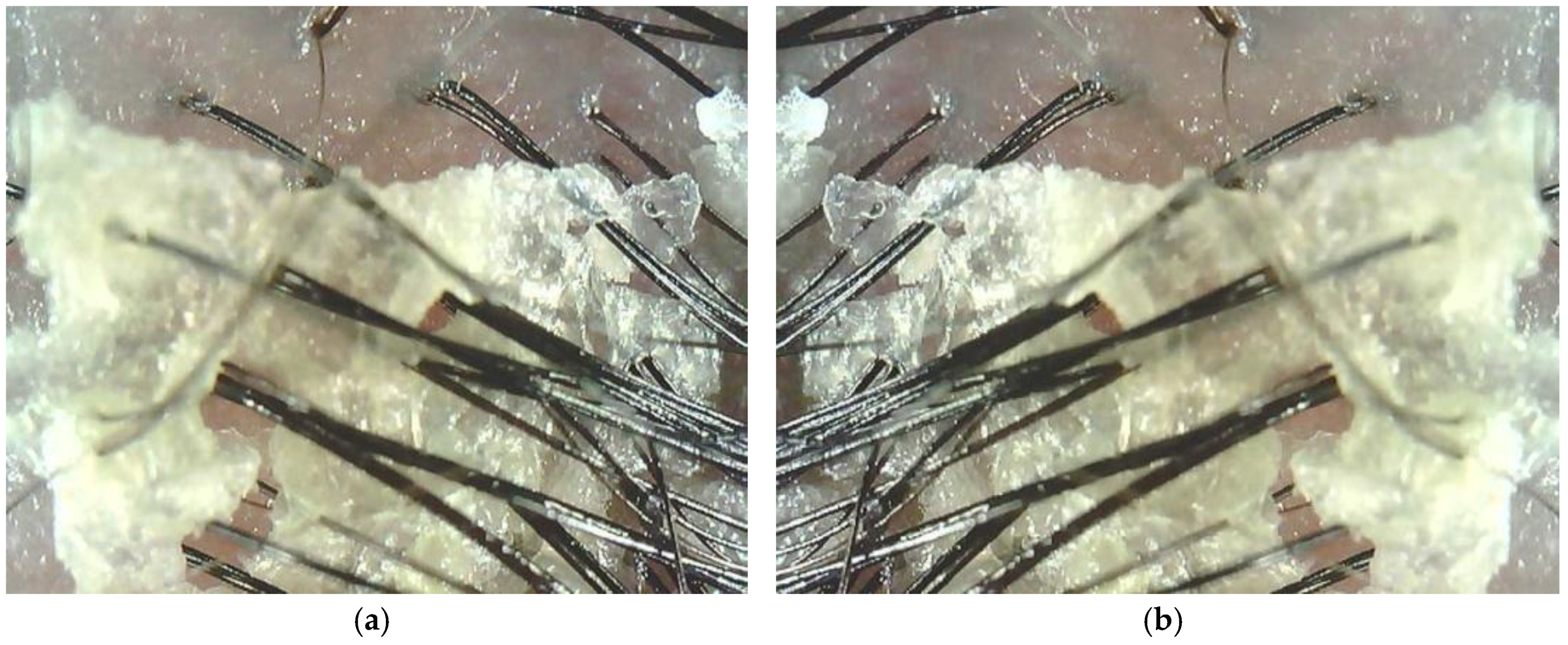 Applsci 08 00853 g010