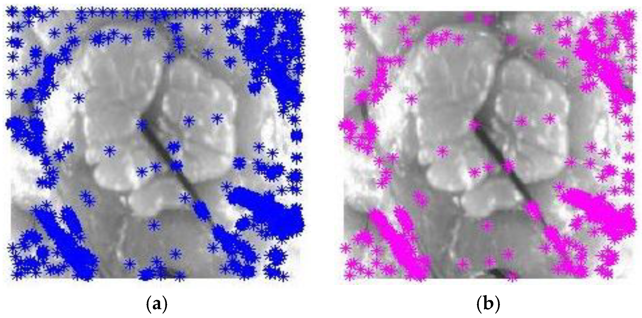 Applsci 08 00853 g014