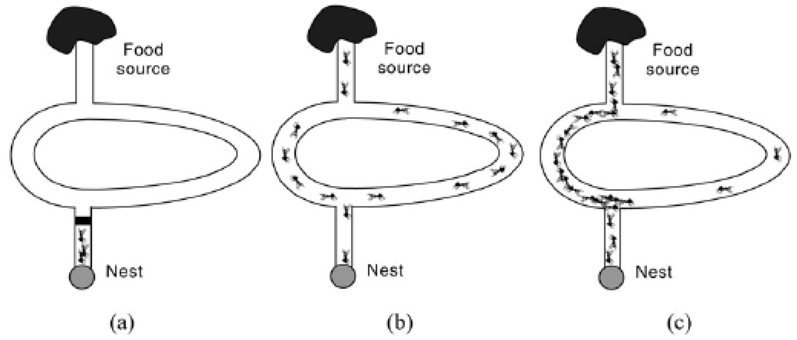 Applsci 08 00864 g011 550