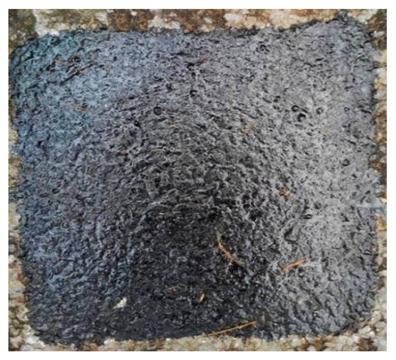 Applsci 08 00889 g003 550