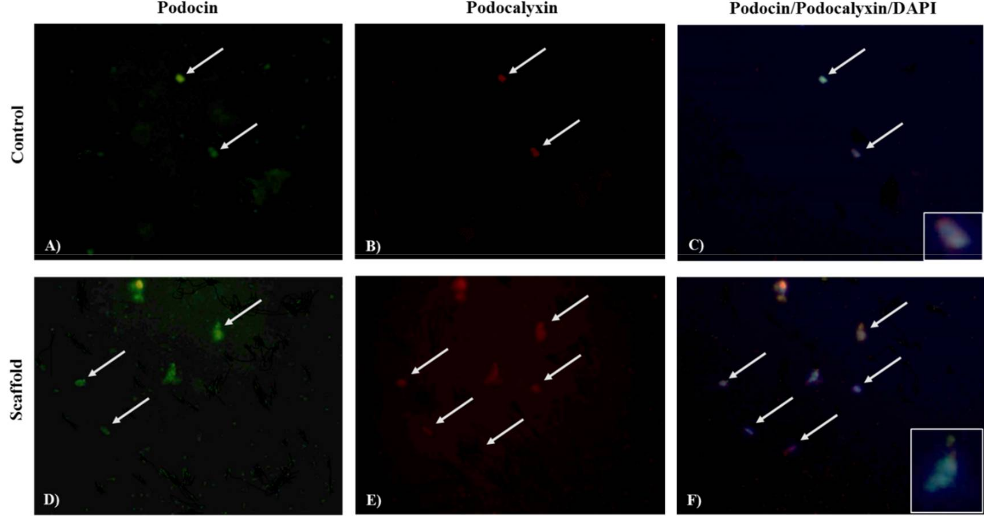 Applsci 08 00930 g012 Applsci 08 00930 g012