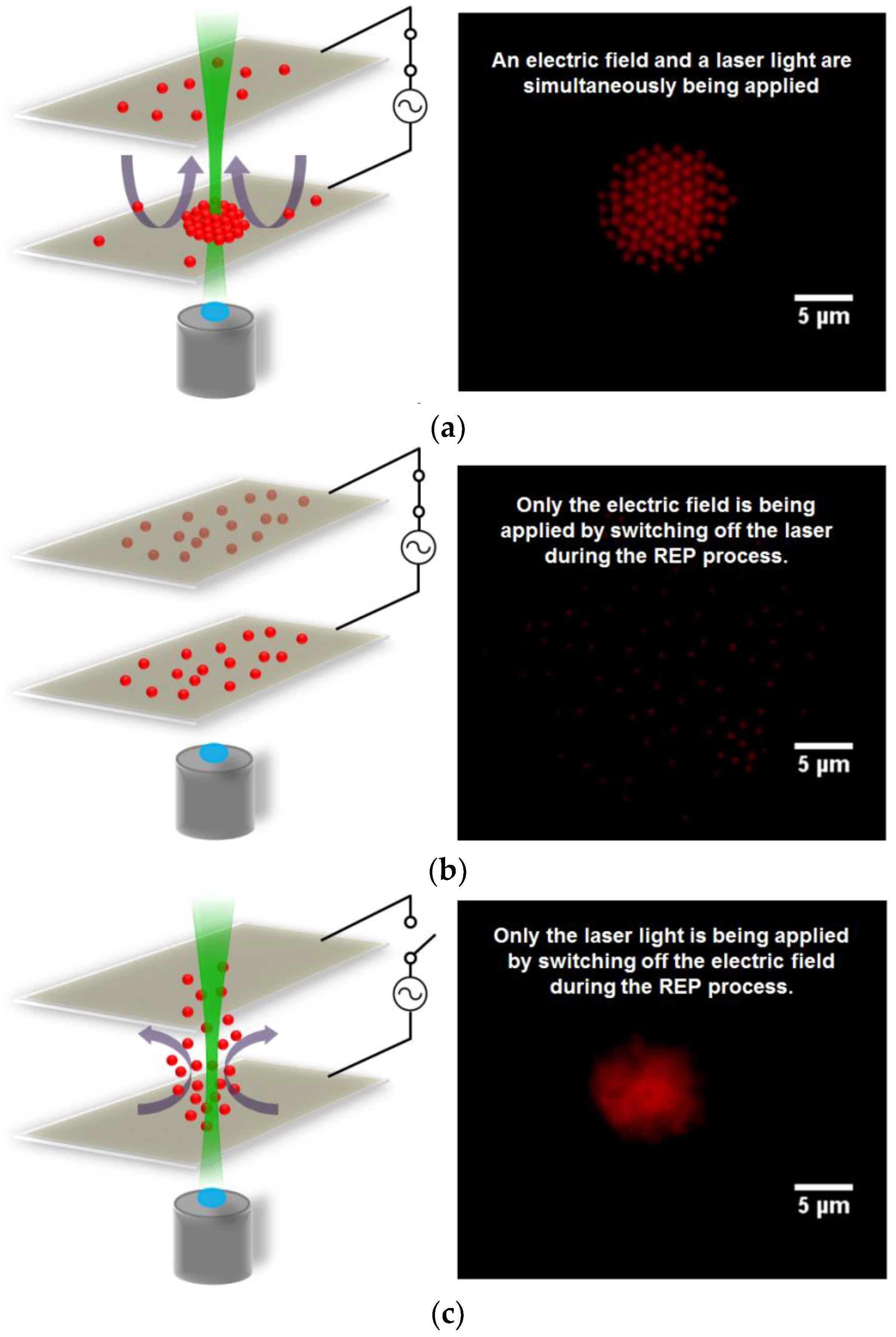 Applsci 08 00992 g008 Applsci 08 00992 g008