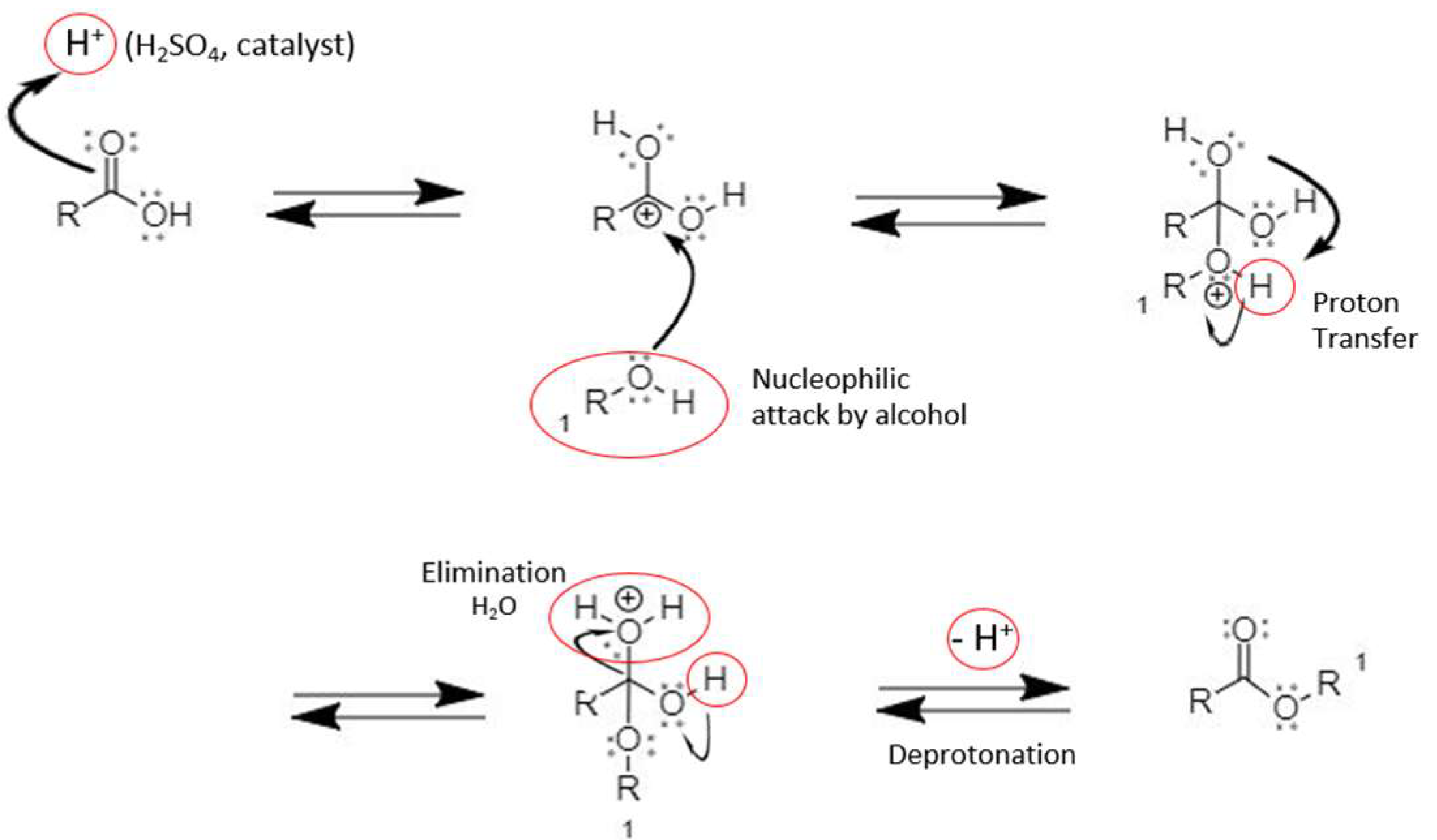 Esterification of Various Carboxylic Acids with tert-Butyl Alcohol in