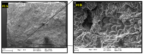 Applsci 08 01113 i001 Applsci 08 01113 i001