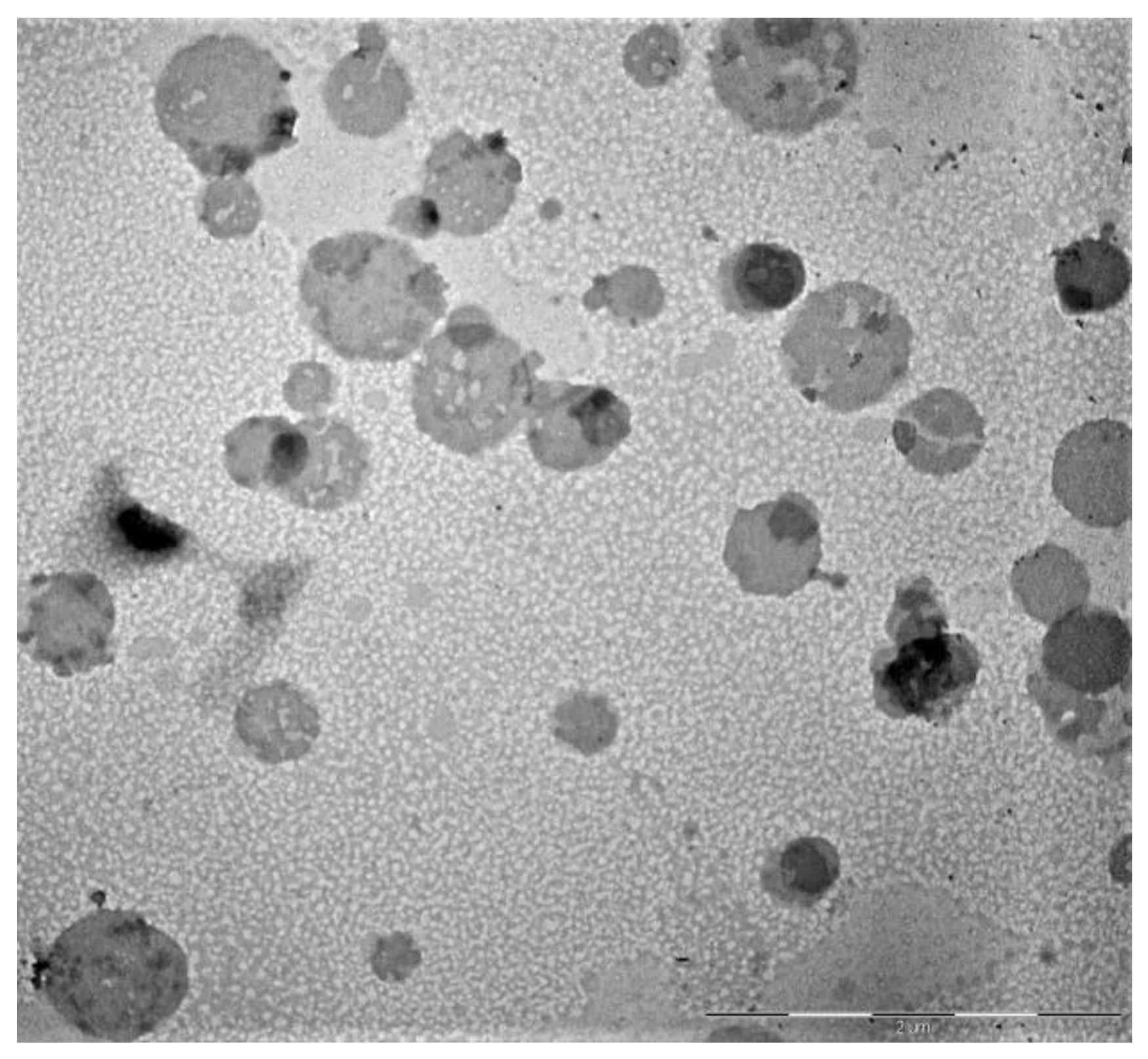 Applsci 08 01163 g001