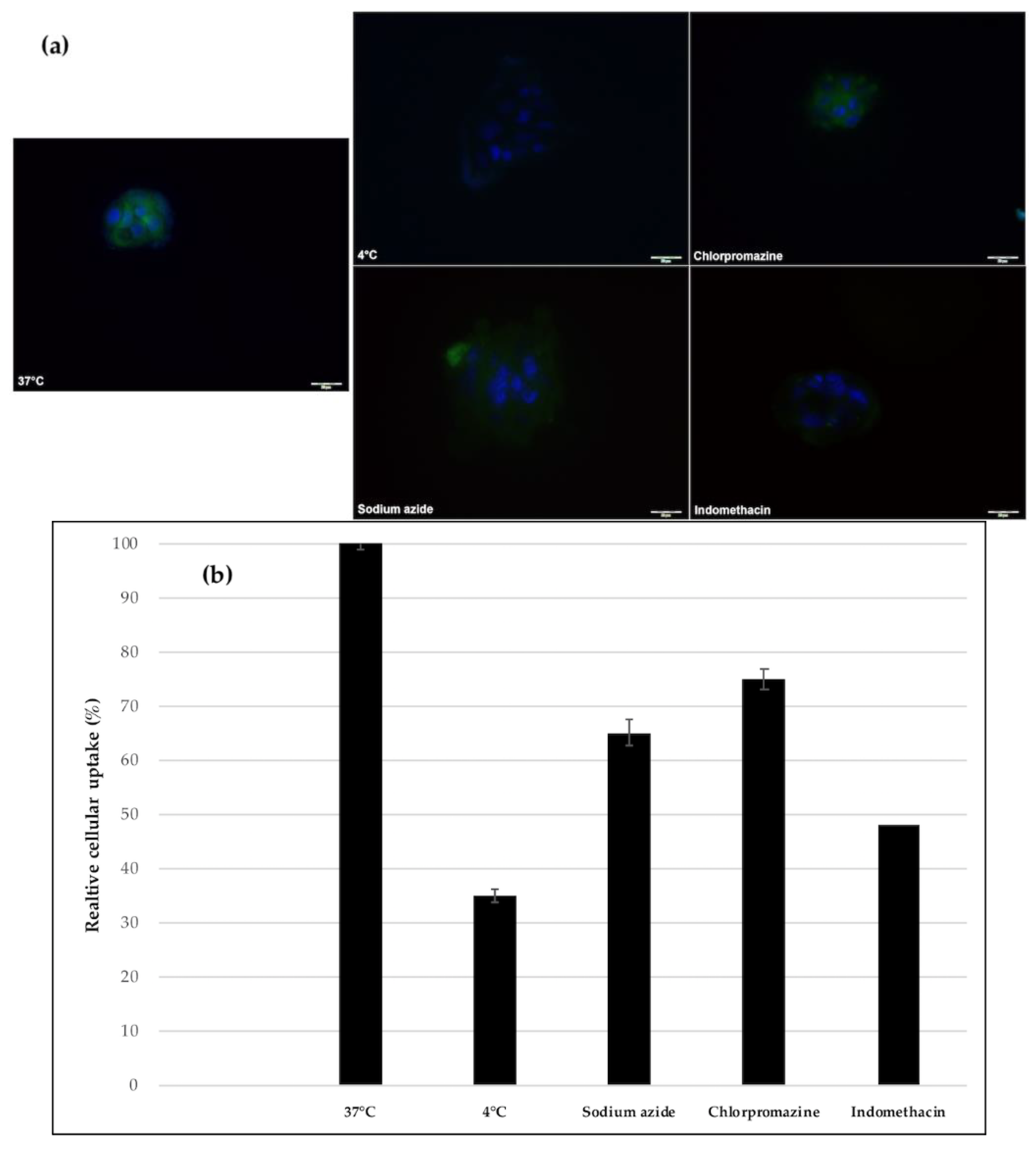Applsci 08 01163 g005