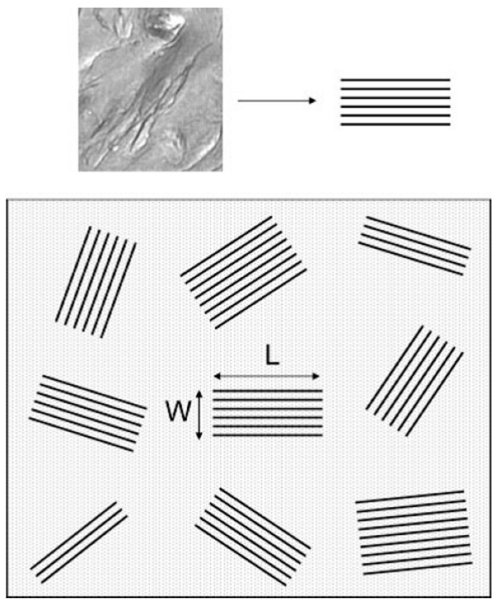 Applsci 08 01181 g009