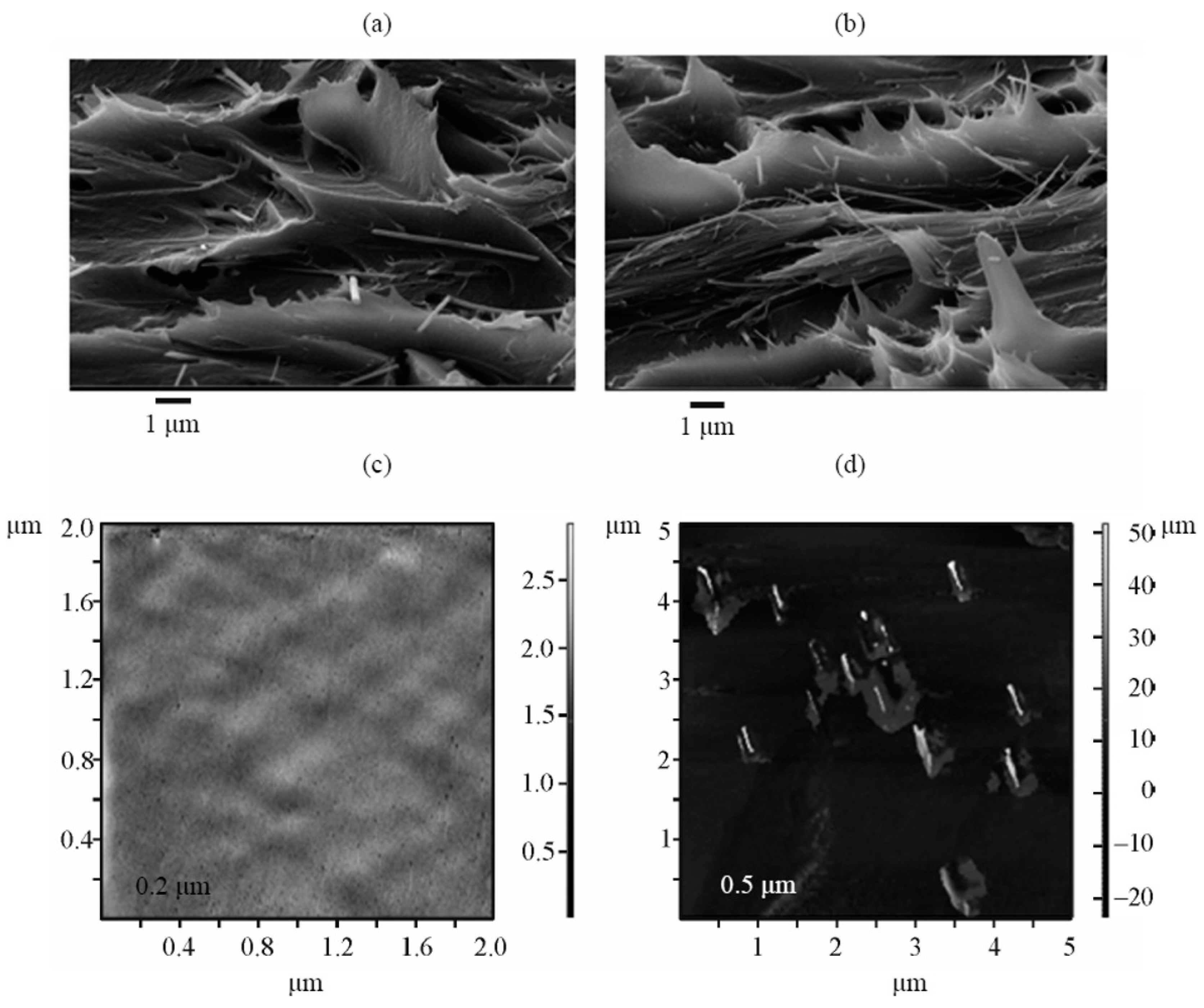 Applsci 08 01181 g029