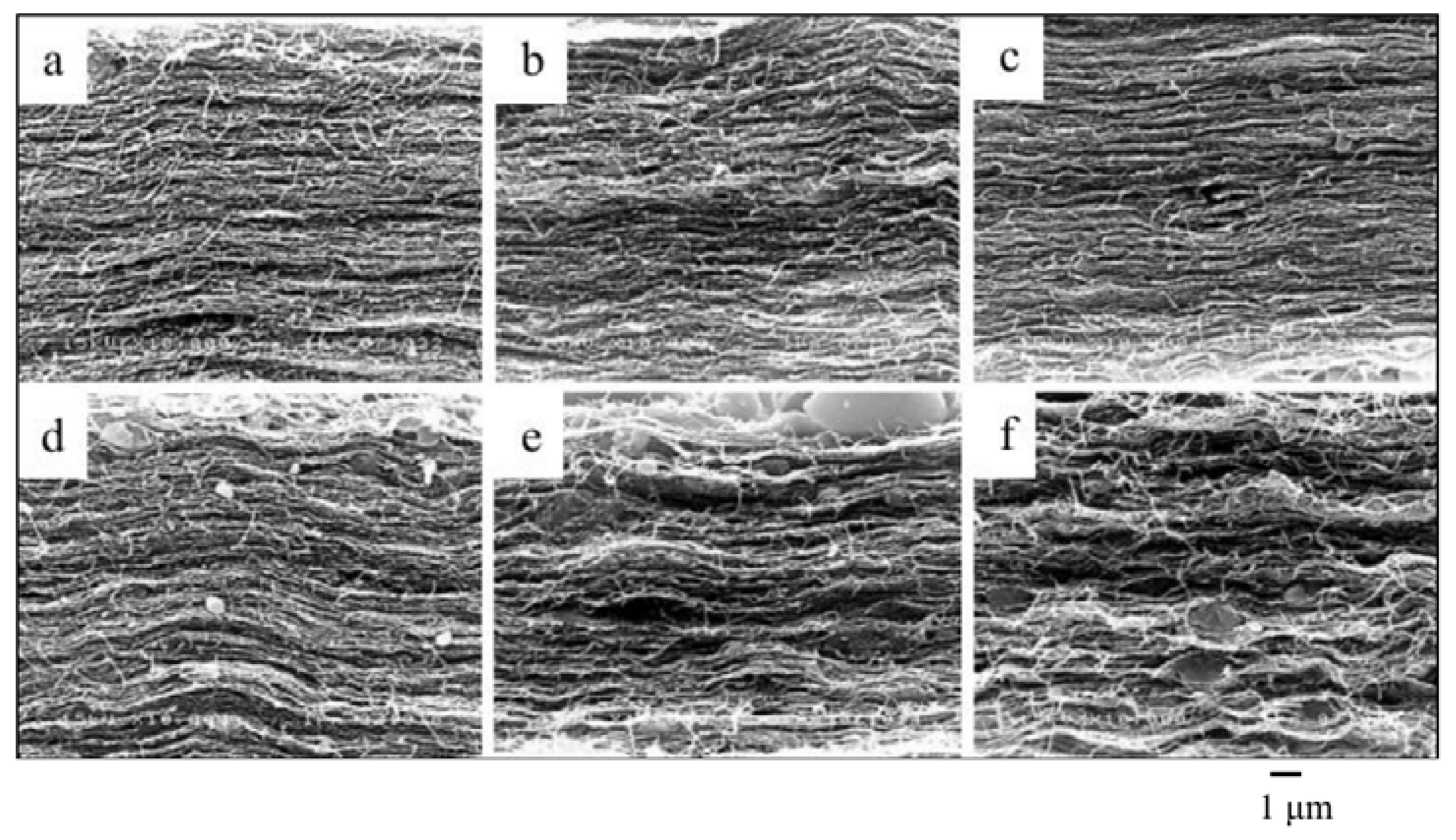 Applsci 08 01188 g002 Applsci 08 01188 g002