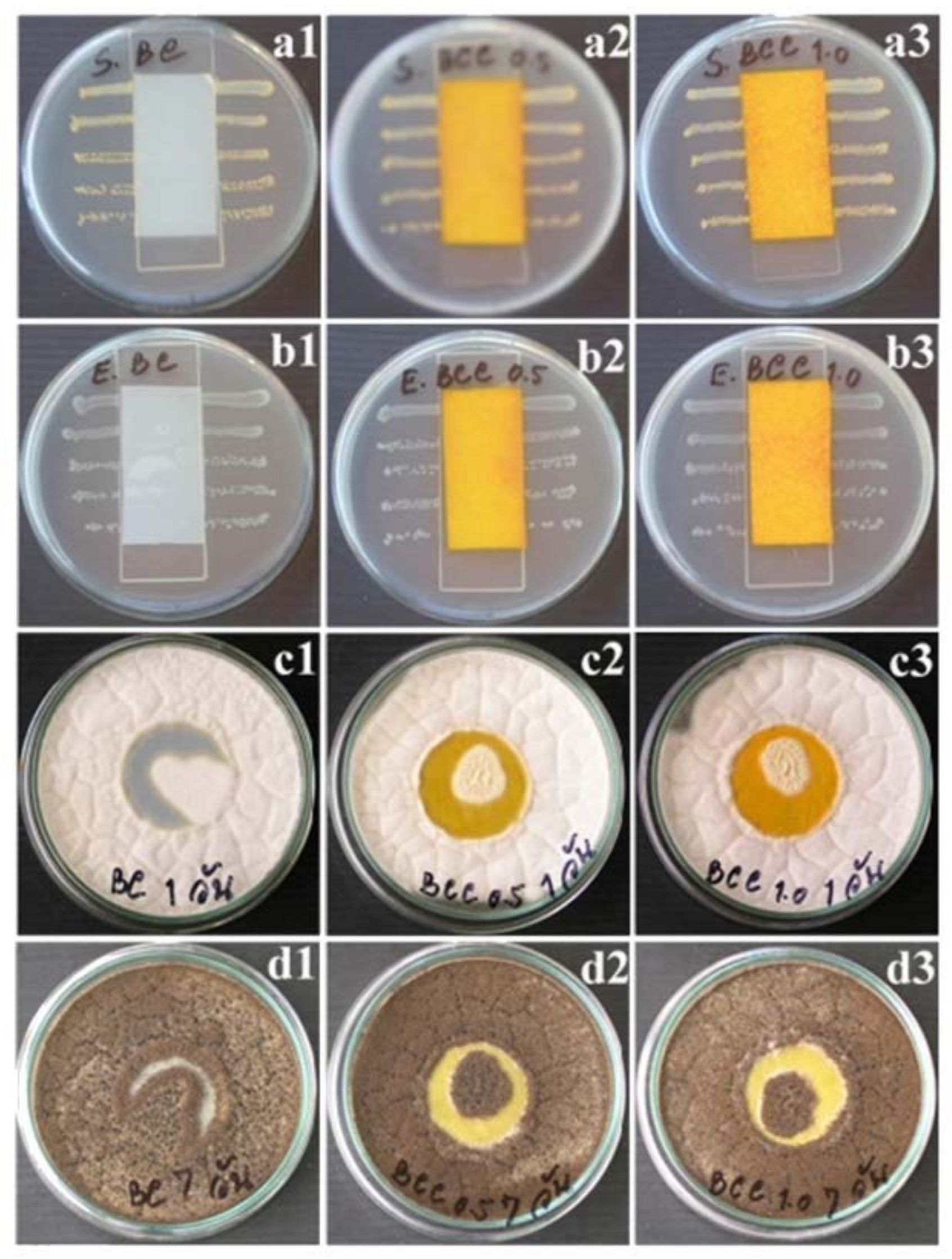 Applsci 08 01188 g006 Applsci 08 01188 g006