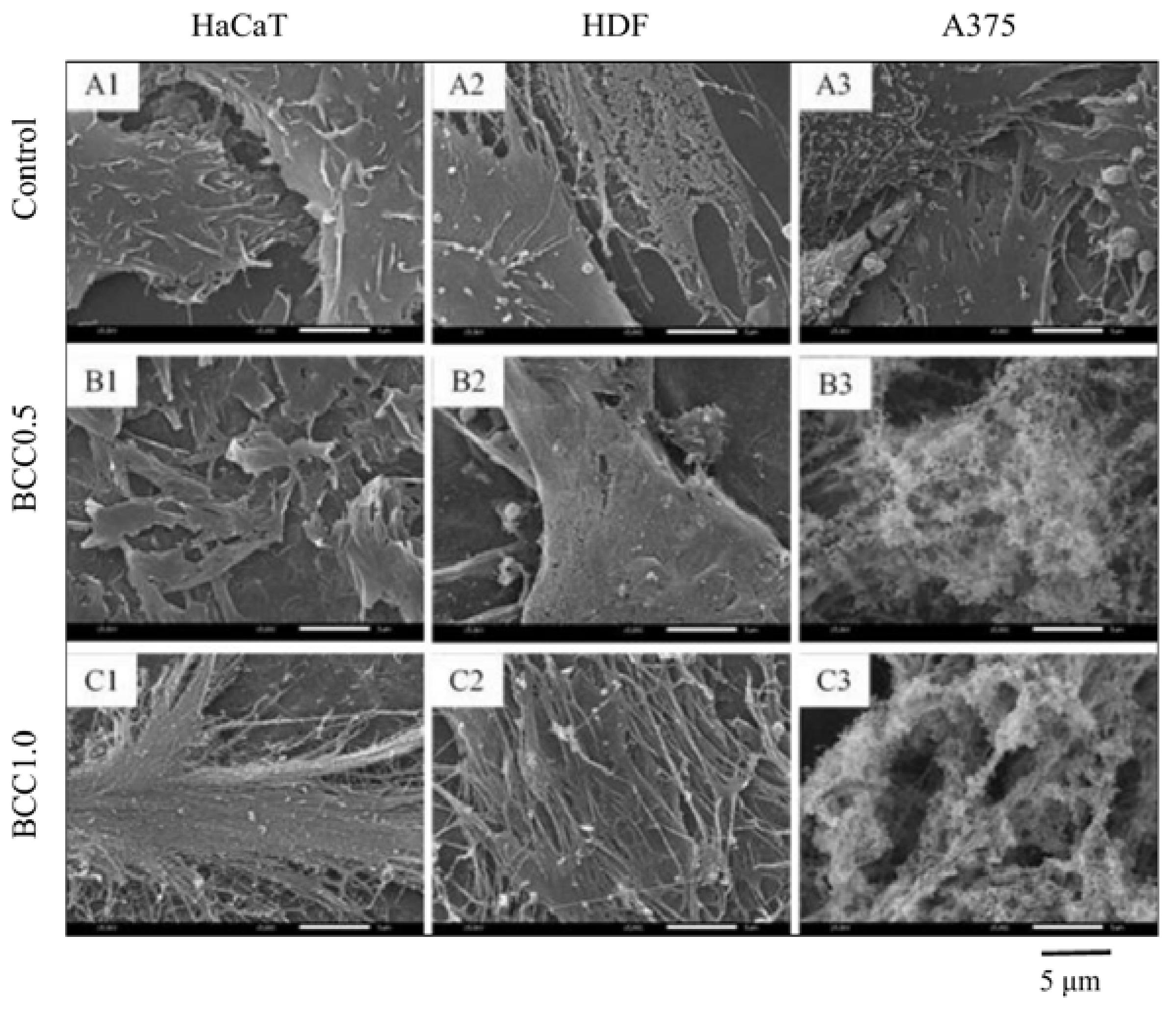 Applsci 08 01188 g008 Applsci 08 01188 g008