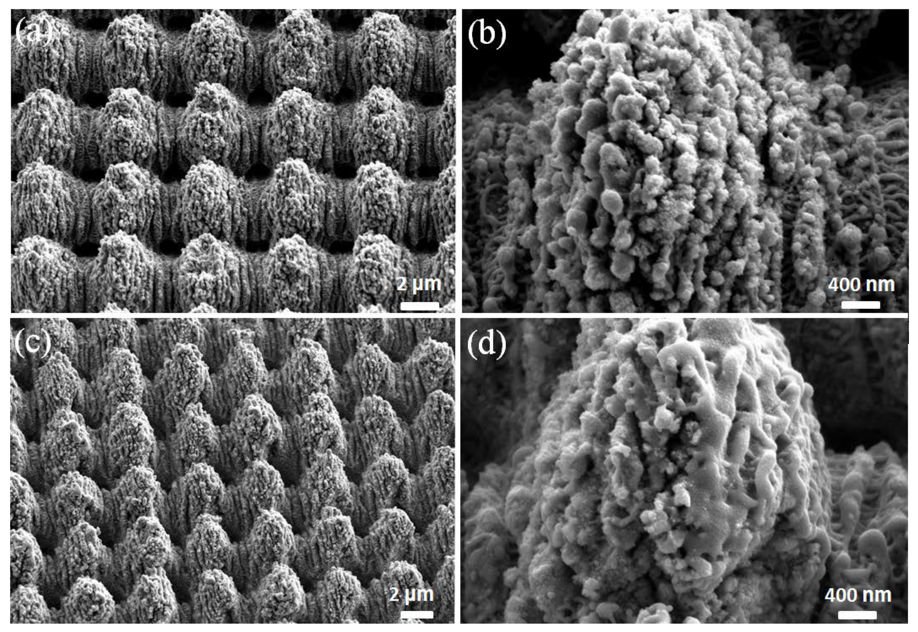 Applsci 08 01260 g006
