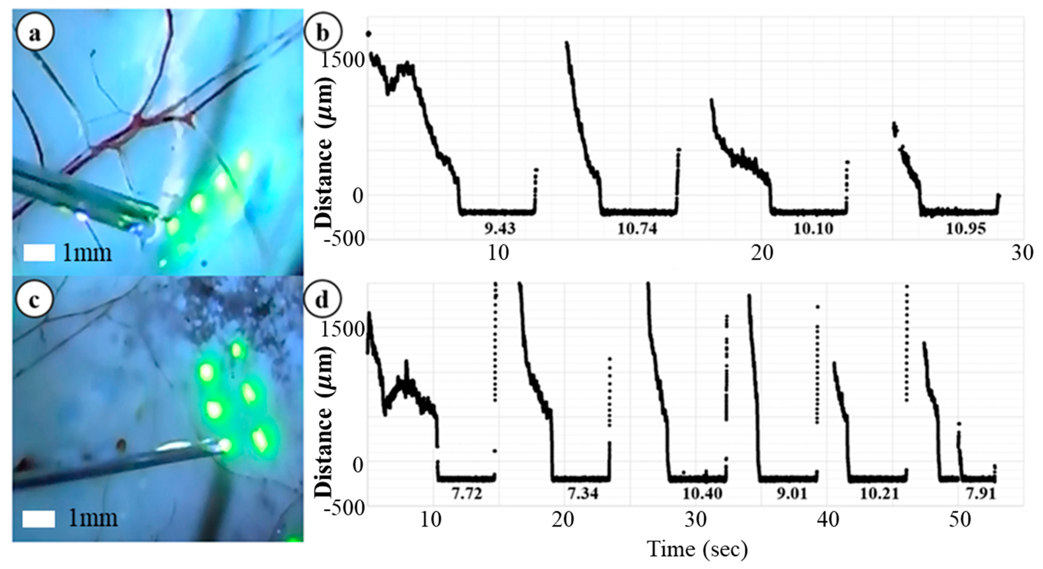 Applsci 08 01287 g007 Applsci 08 01287 g007