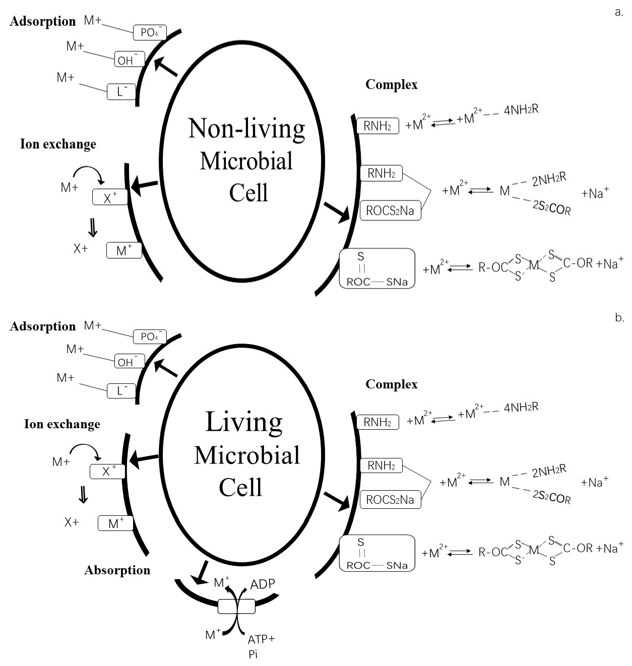 Applsci 08 01336 g001 Applsci 08 01336 g001