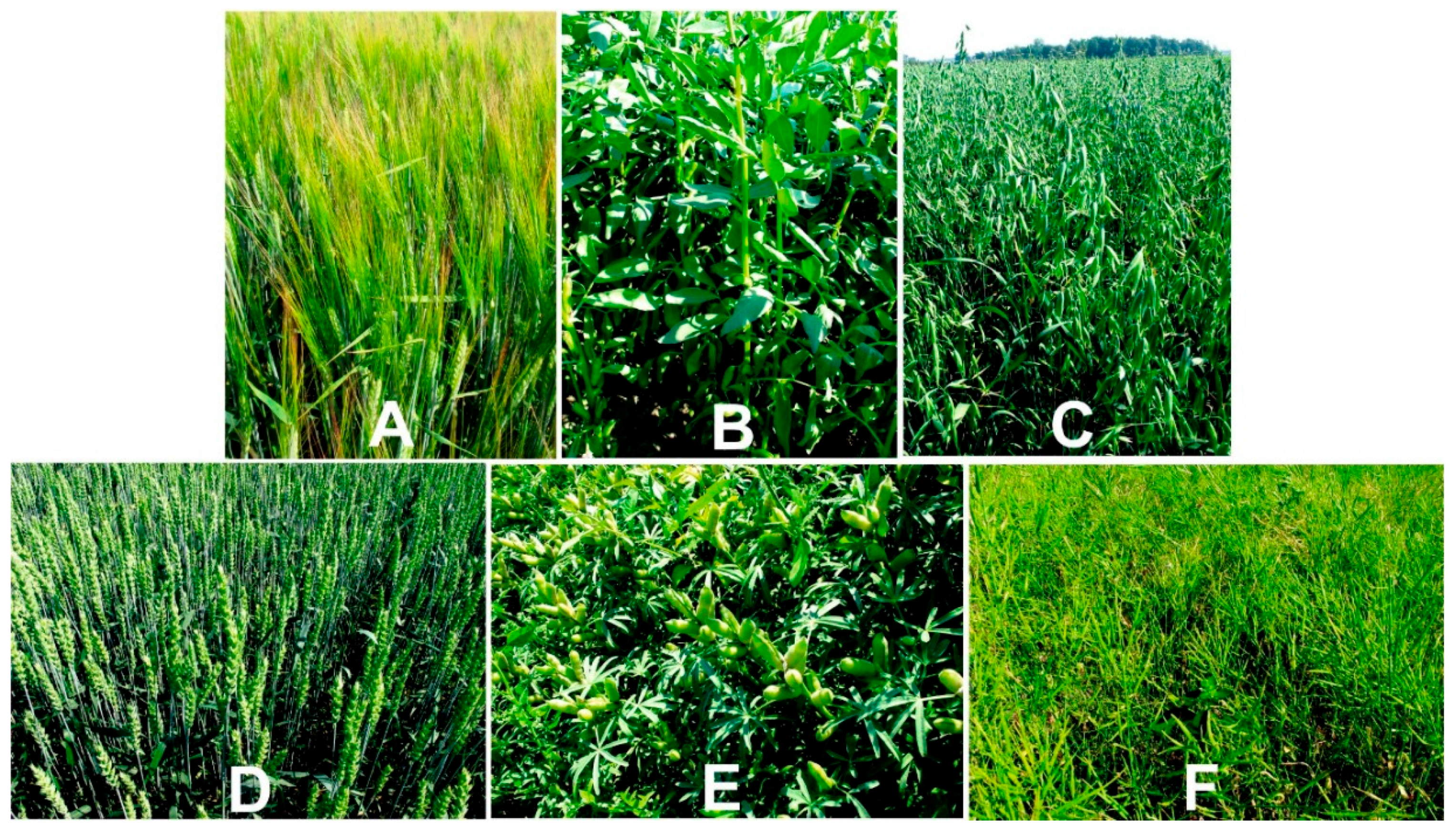 Applsci 08 01435 g001 Applsci 08 01435 g001