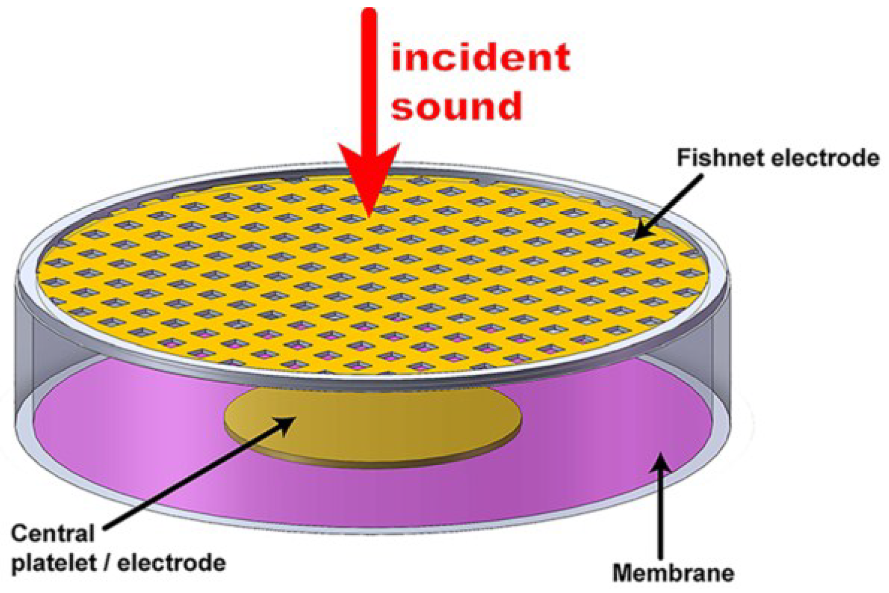 Applied Sciences Free FullText A Review of Tunable Acoustic