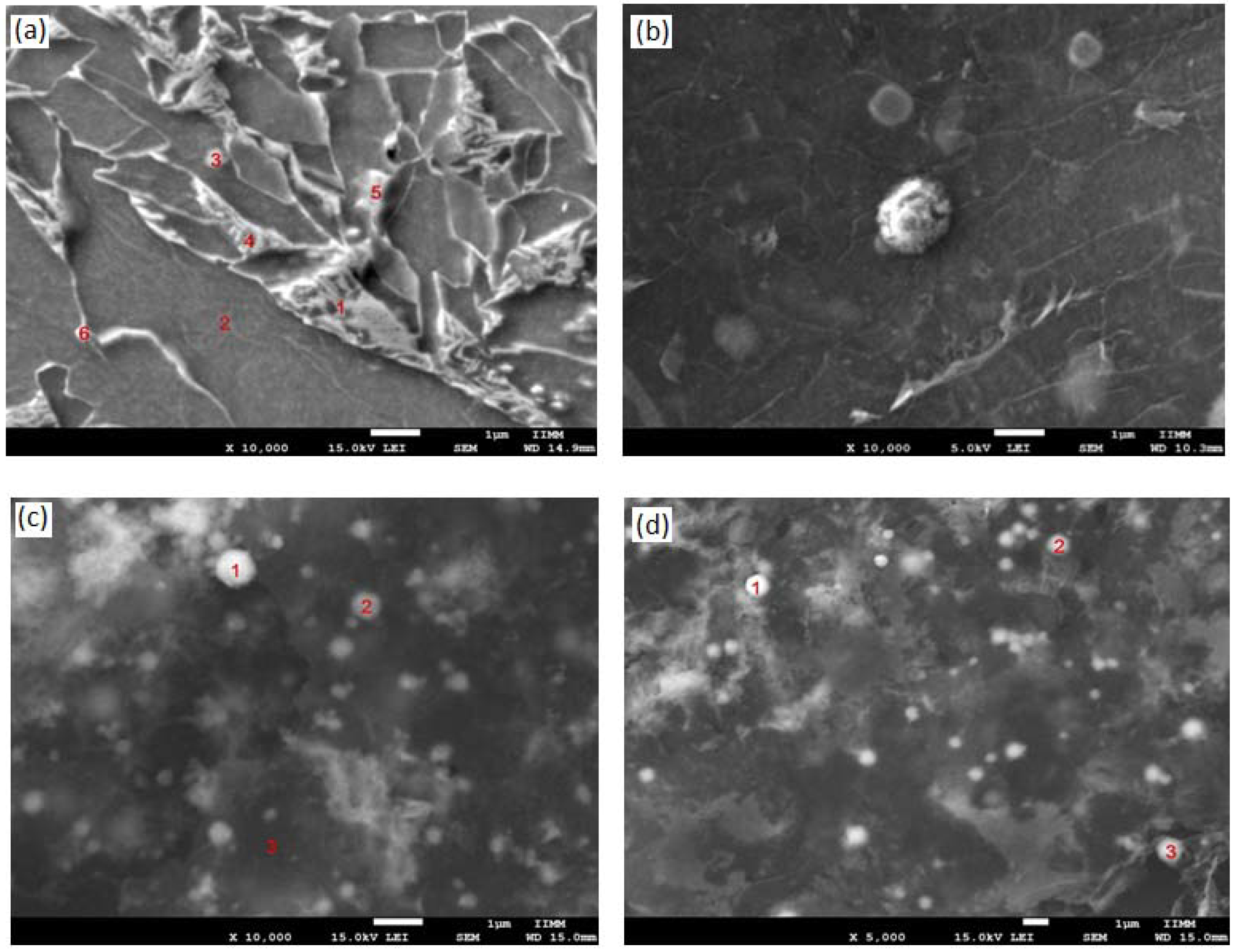 Applsci 08 01489 g005