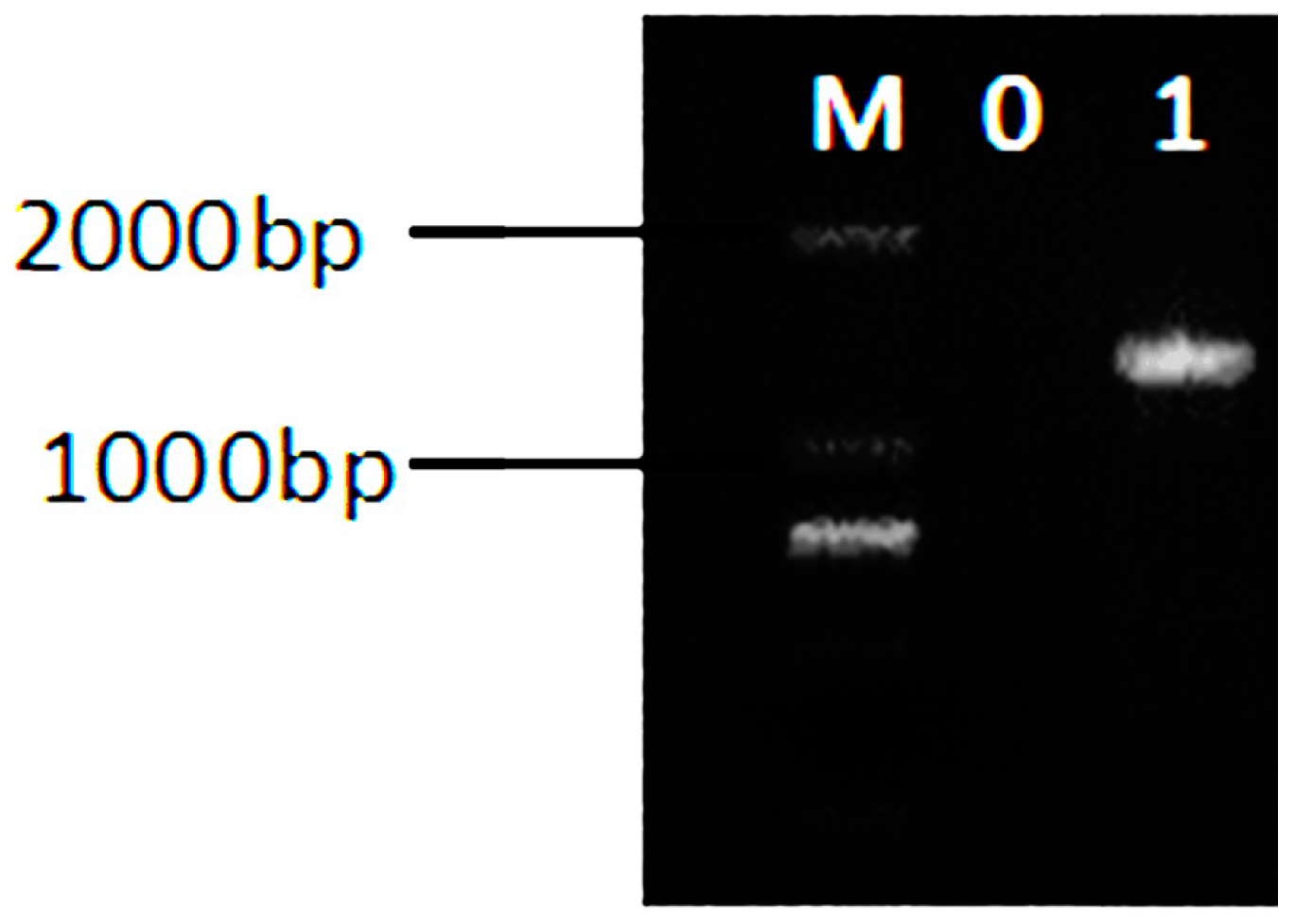 Applsci 08 01498 g001 Applsci 08 01498 g001