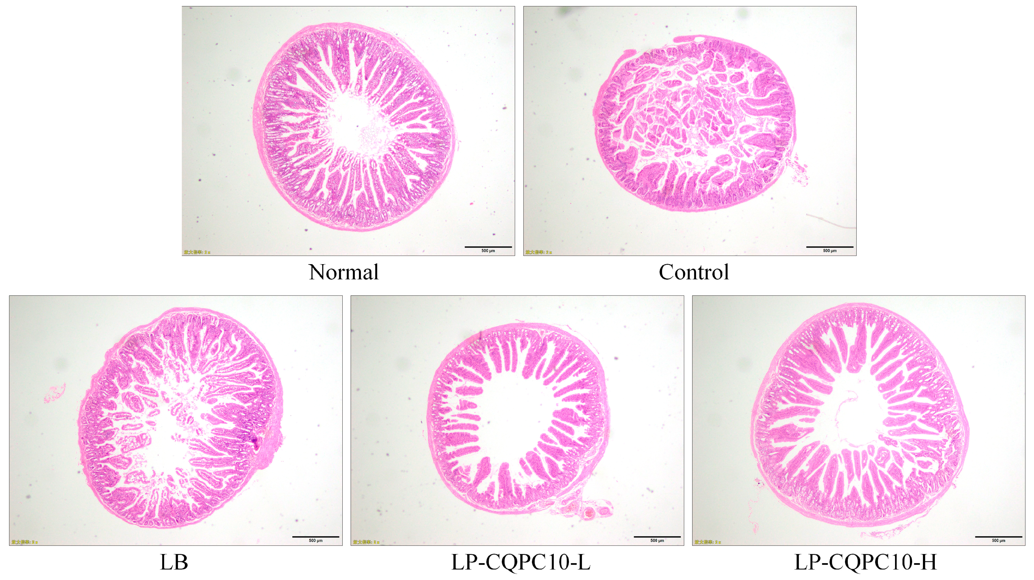 Applsci 08 01498 g003 Applsci 08 01498 g003