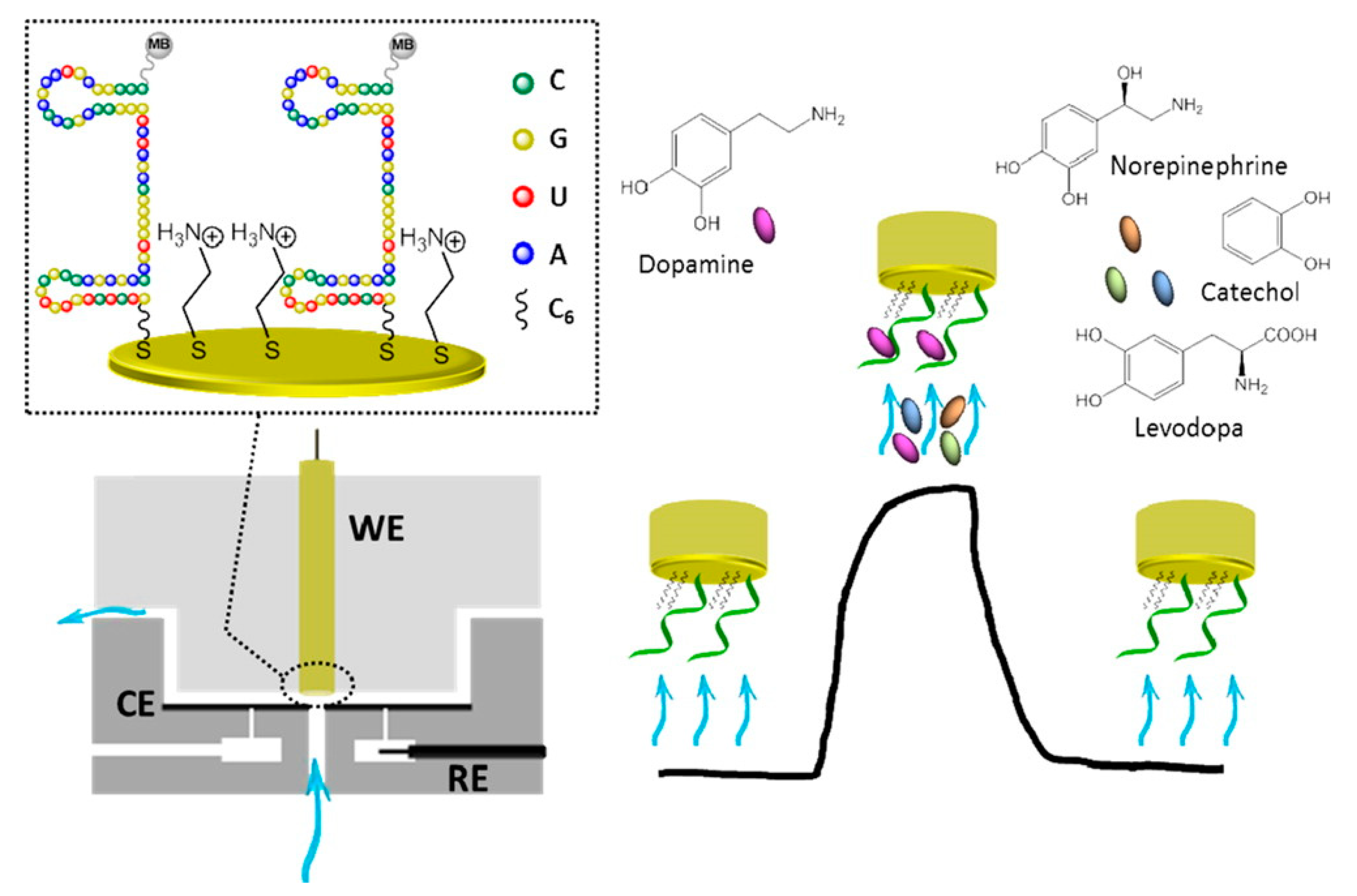 Applsci 08 01504 g005
