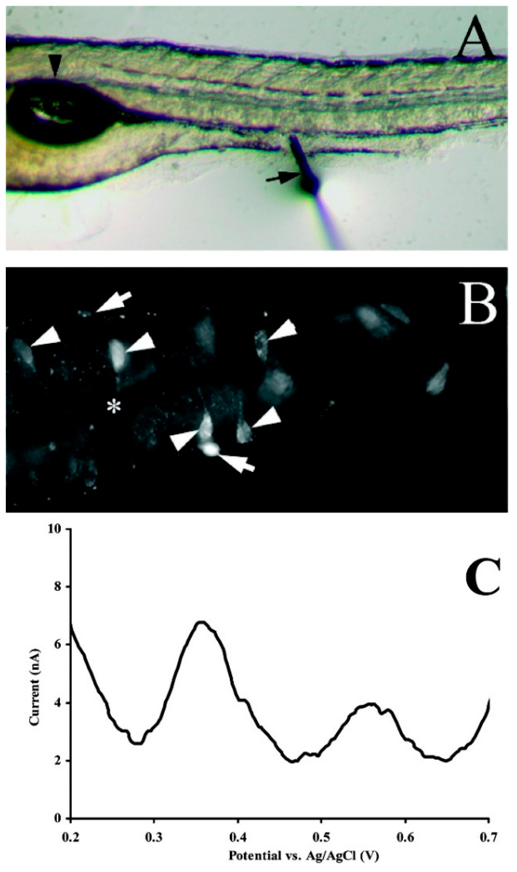 Applsci 08 01504 g011