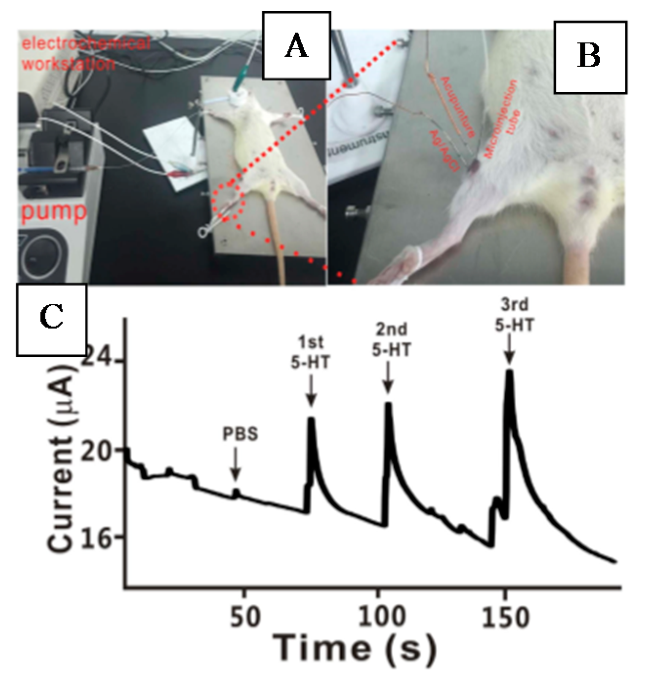 Applsci 08 01504 g012
