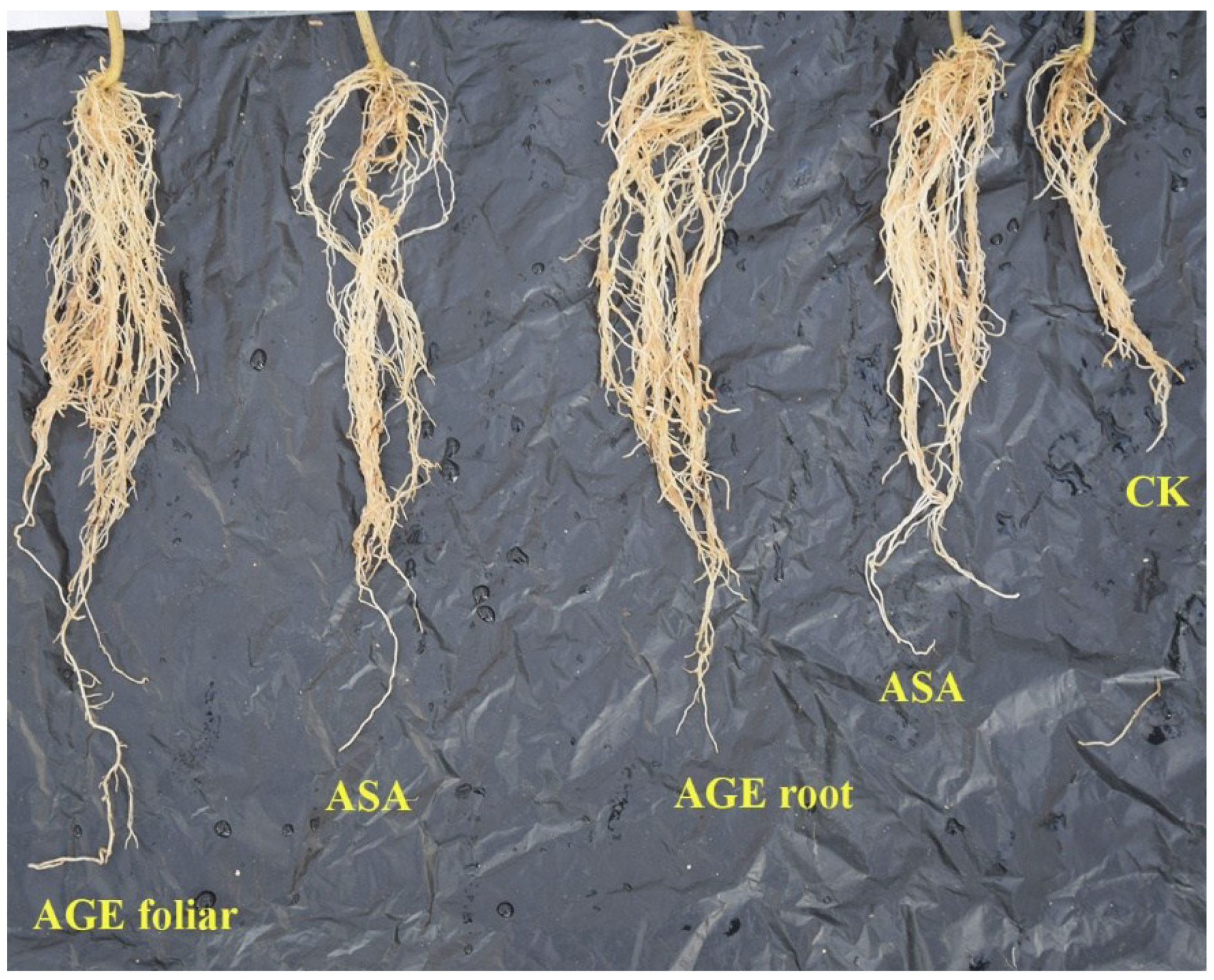 Applsci 08 01505 g005