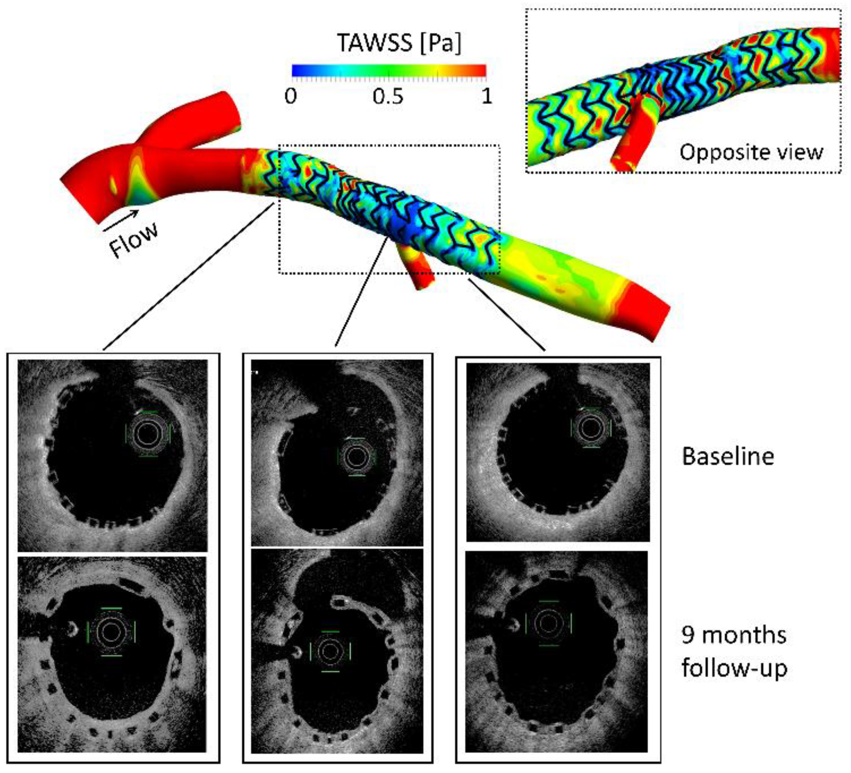 Applsci 08 01510 g005 550