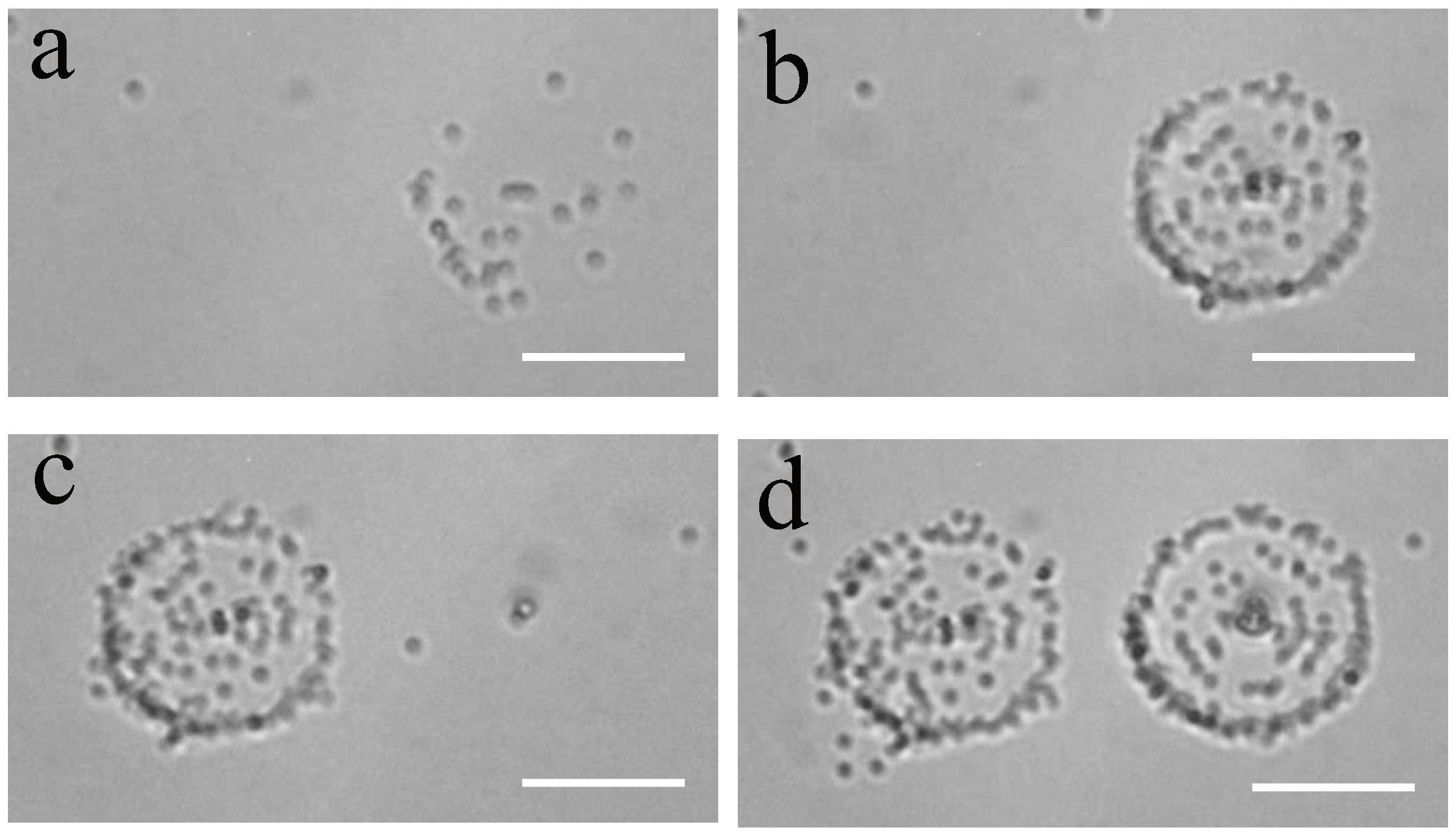 Applsci 08 01522 g006