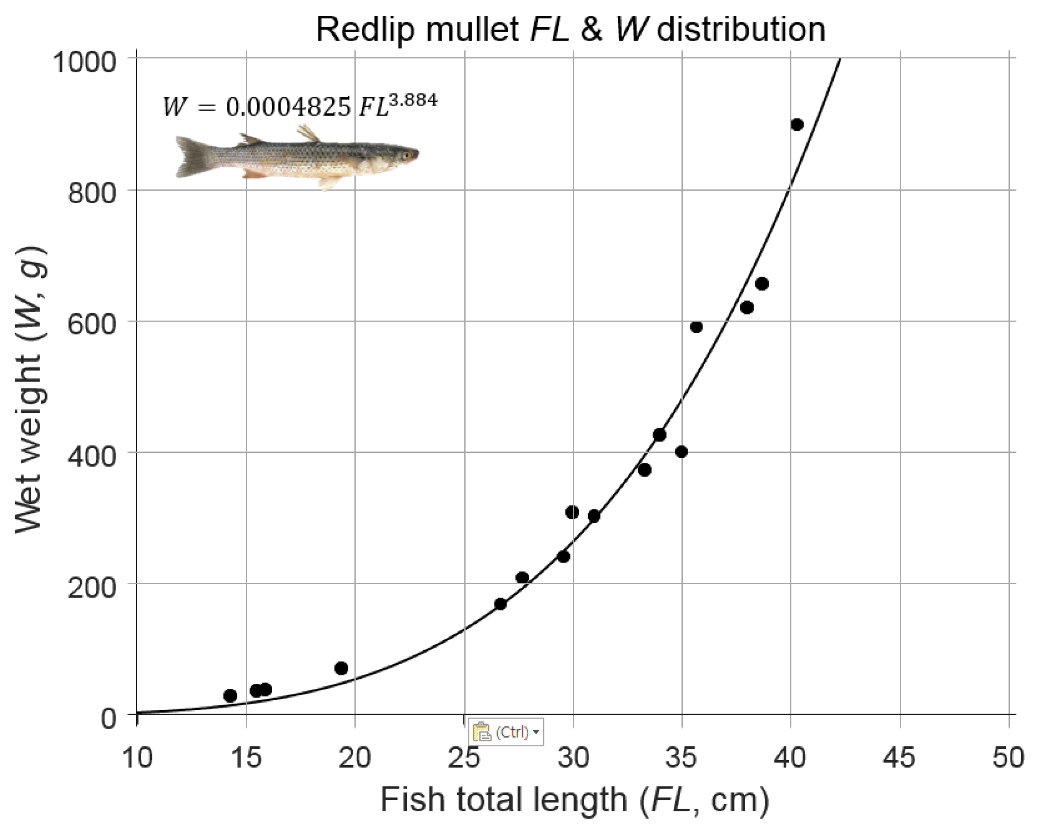 Mullet Fish Culture