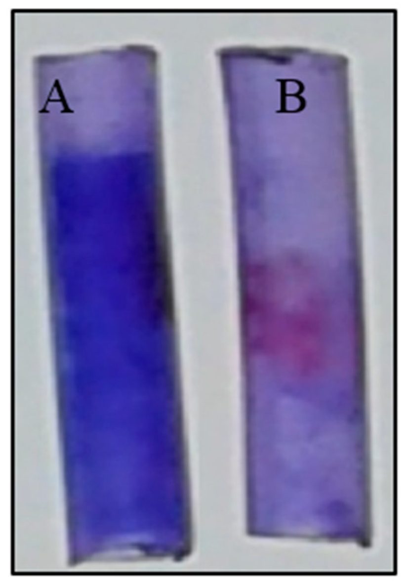 Applsci 08 01555 g010 Applsci 08 01555 g010