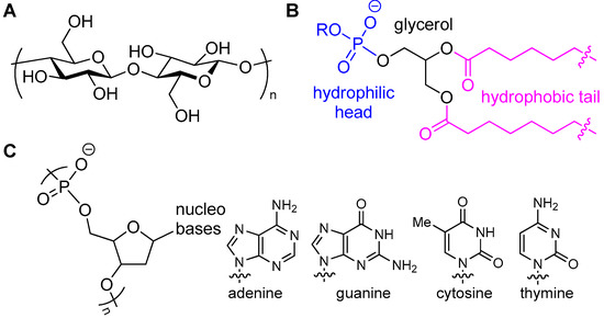 Applied Sciences | Free Full-Text | Biodegradable Contrast Agents for