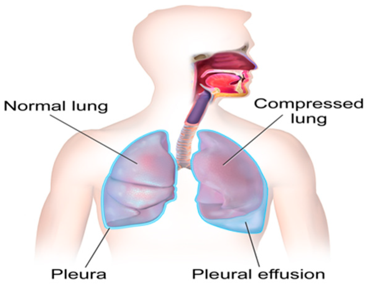 Applsci 08 01608 g001 Applsci 08 01608 g001