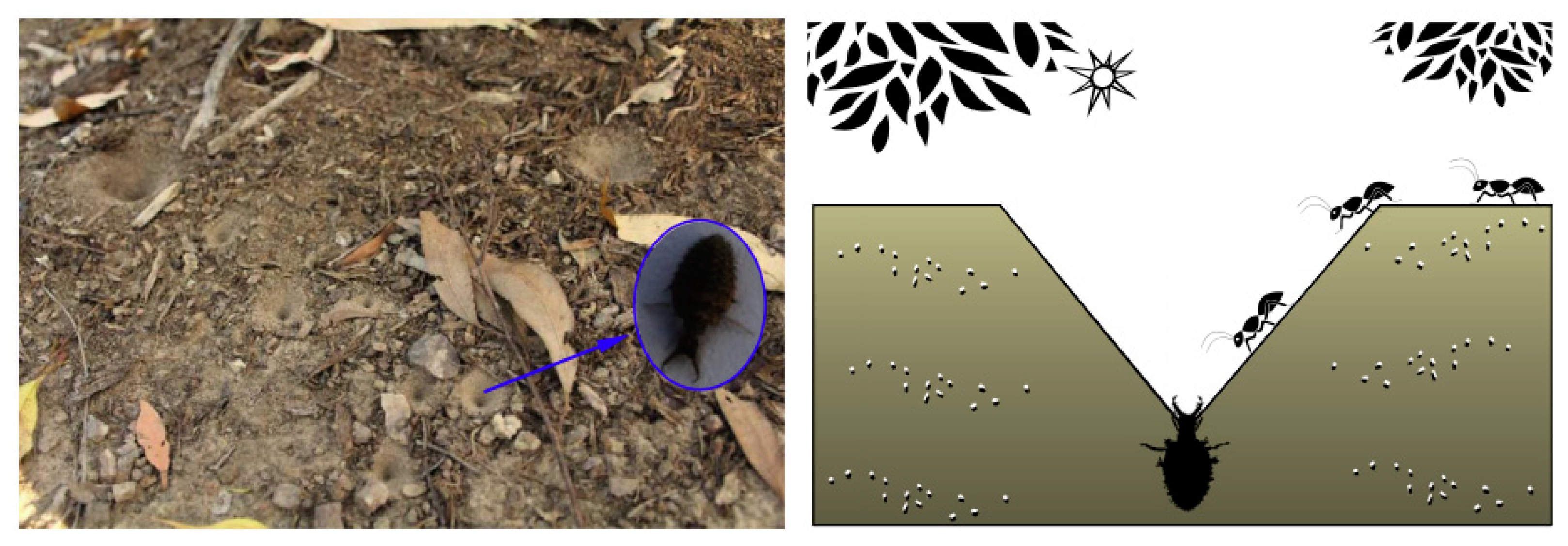 Applsci 08 01613 g002 Applsci 08 01613 g002