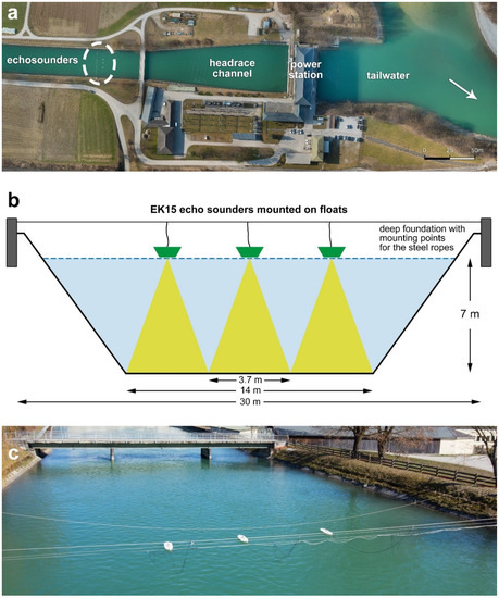 Hydroacoustic and Pressure Turbulence Analysis for the Assessment of Fish Presence and Behavior Upstream of a Vertical Trash Rack... 