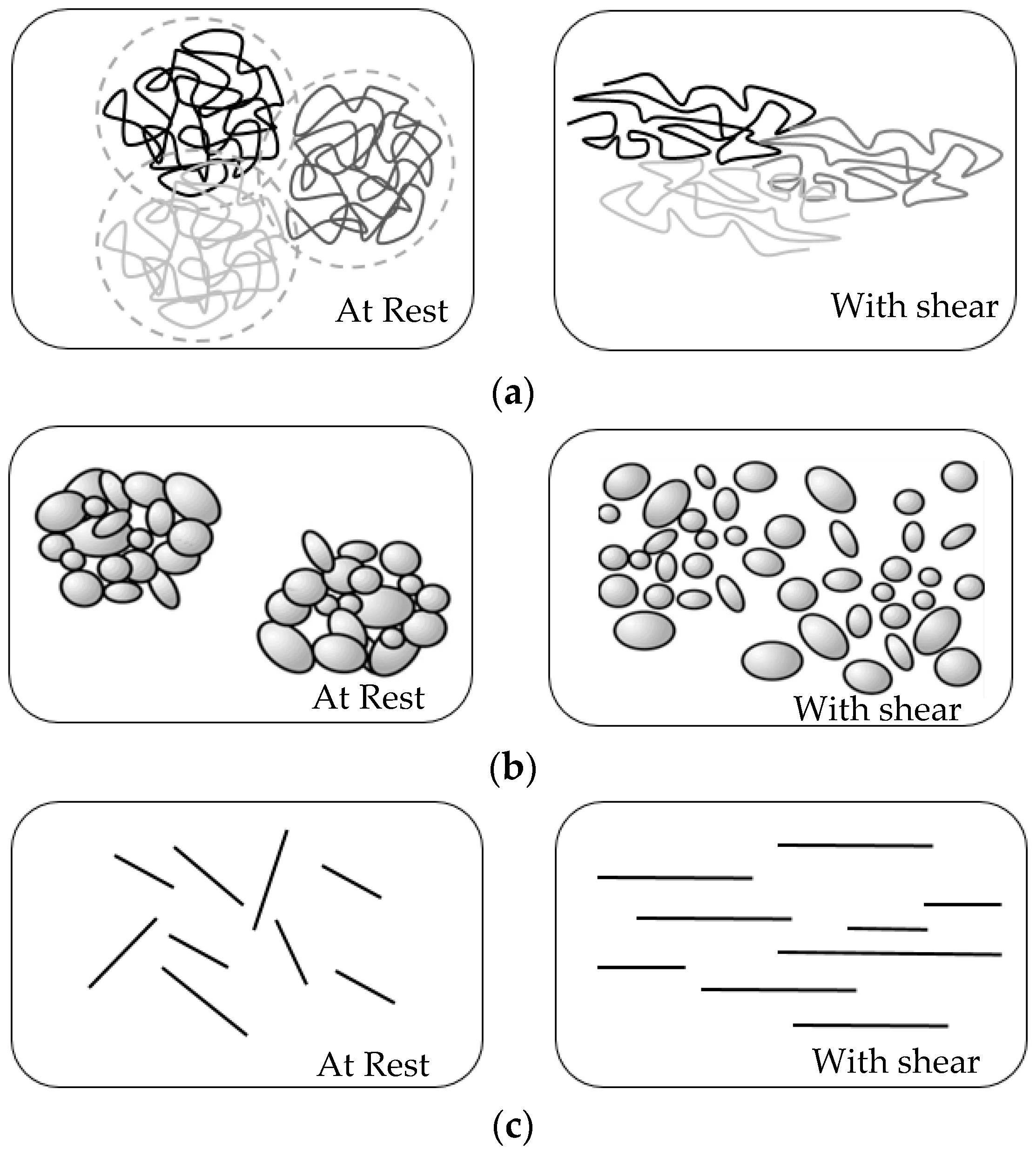 Applied Sciences Free FullText NonNewtonian Behaviors of Crumb
