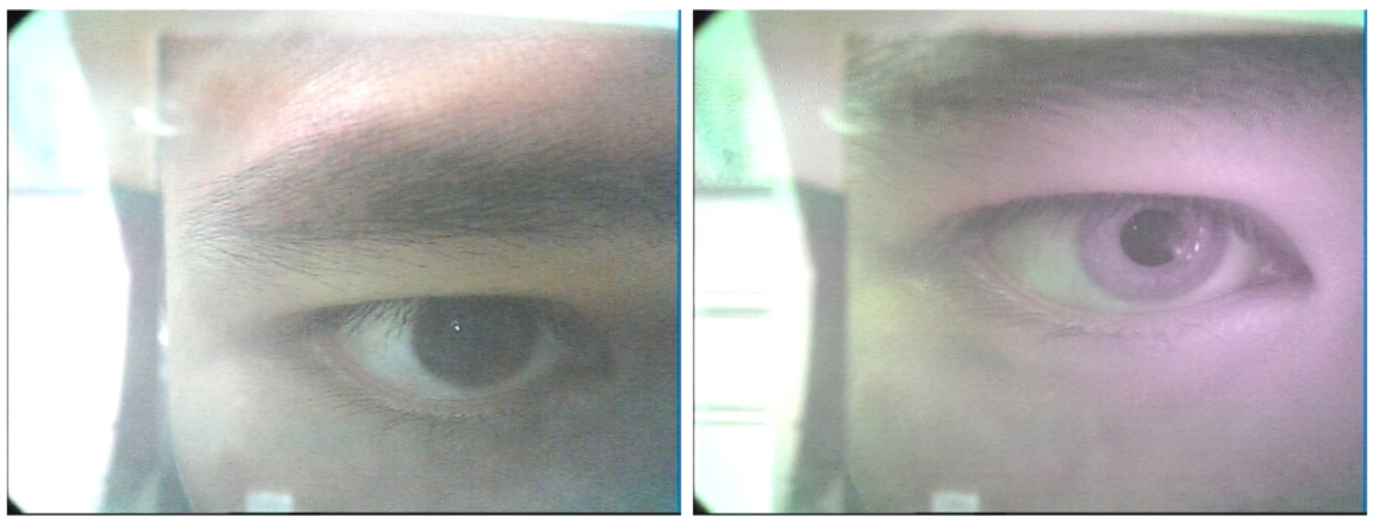 Applsci 08 01769 g003