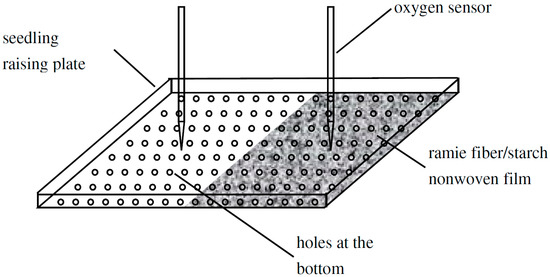 Ｒ Leaf Extract of Perilla frutescens (L.) Britt Promotes
