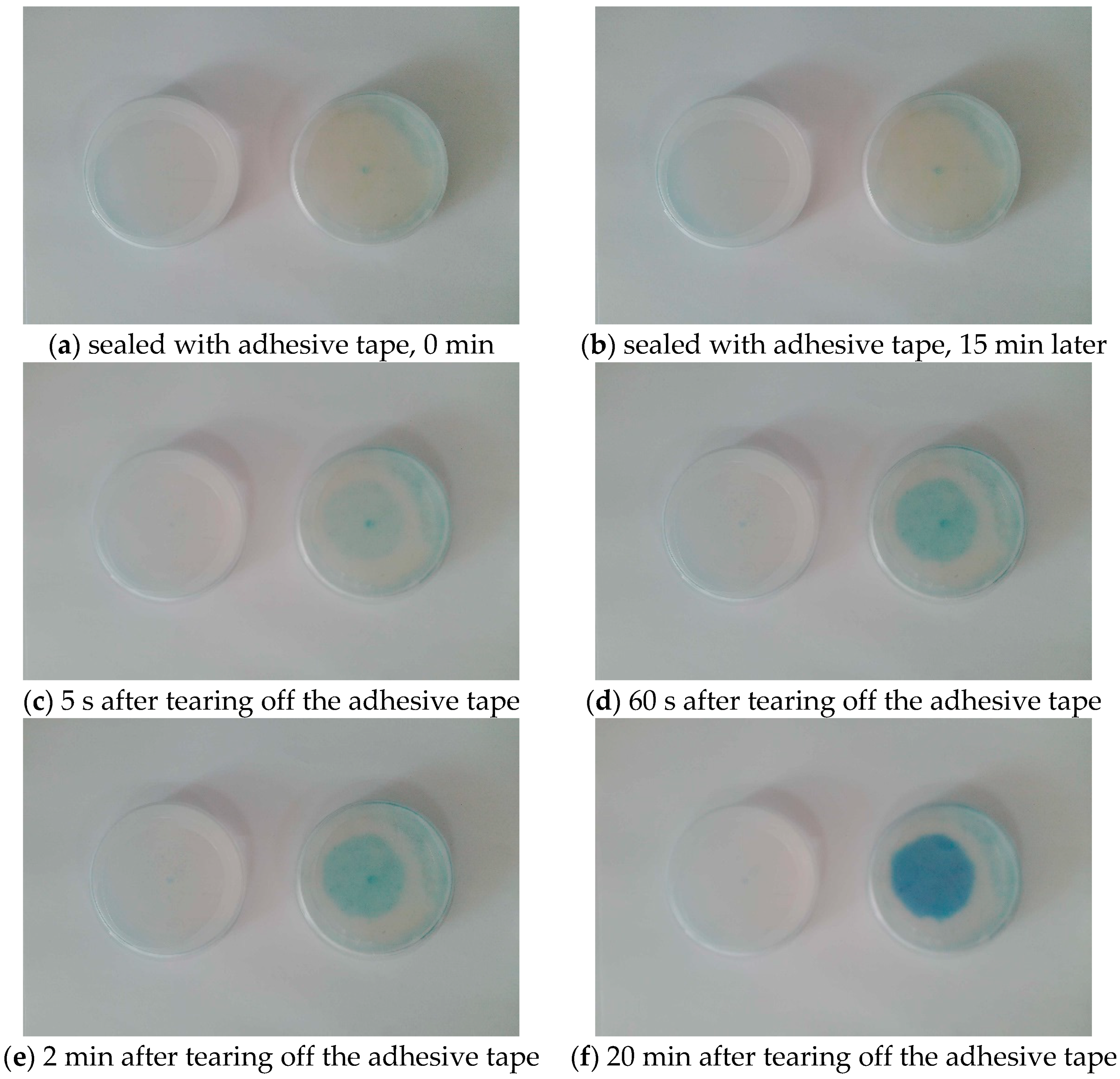 Applsci 08 01813 g007 550