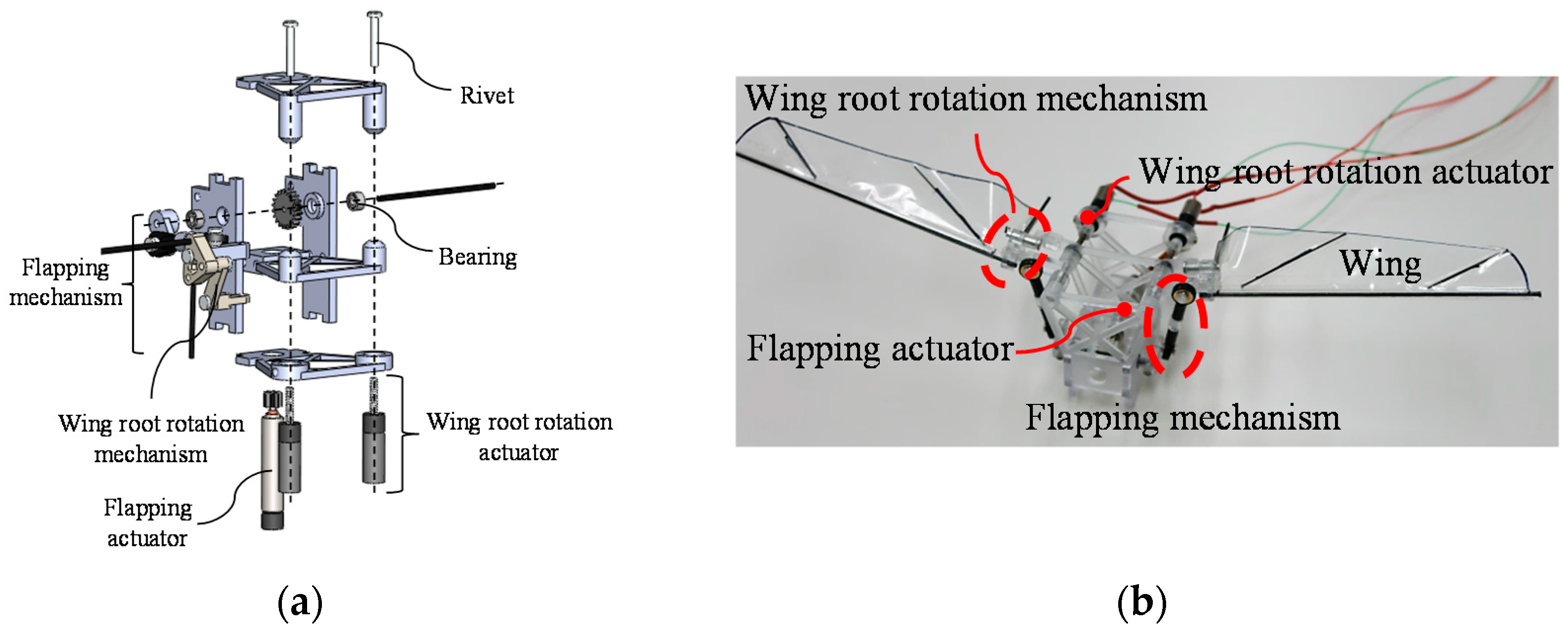 Design Of Wing Root Rotation Mechanism For Dragonfly Inspired Micro Air 