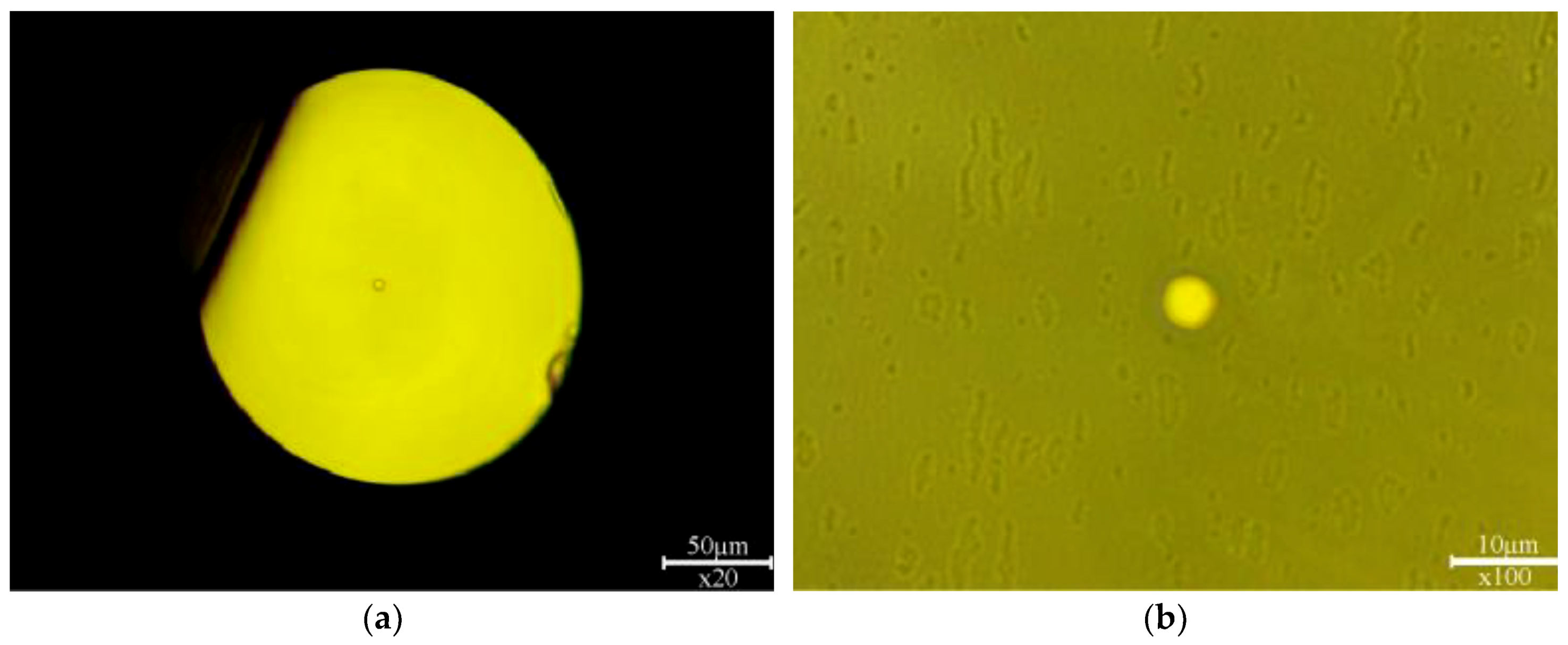 Applsci 08 01875 g003