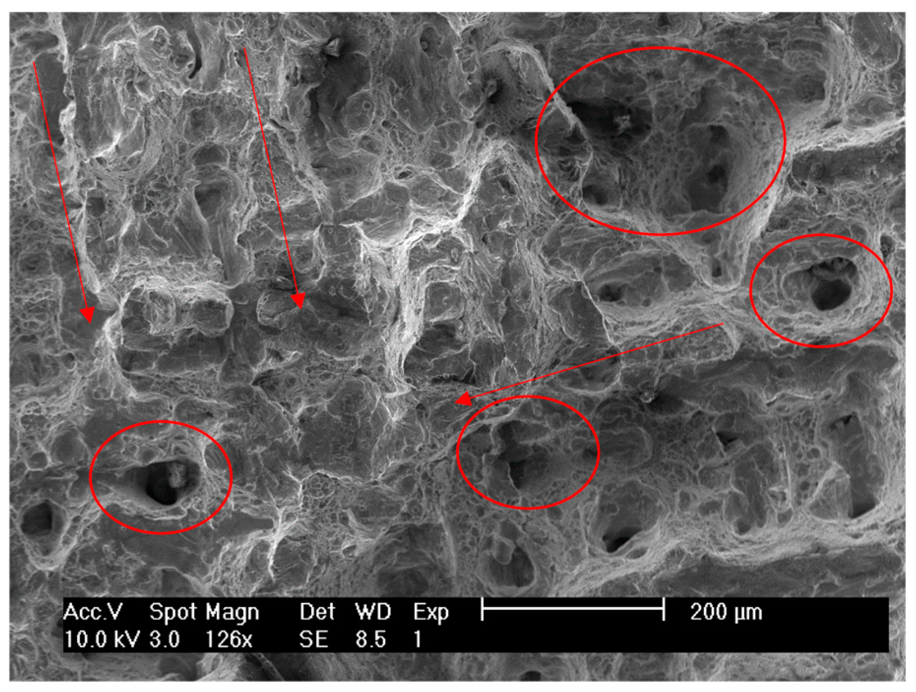 Applsci 08 01879 g011