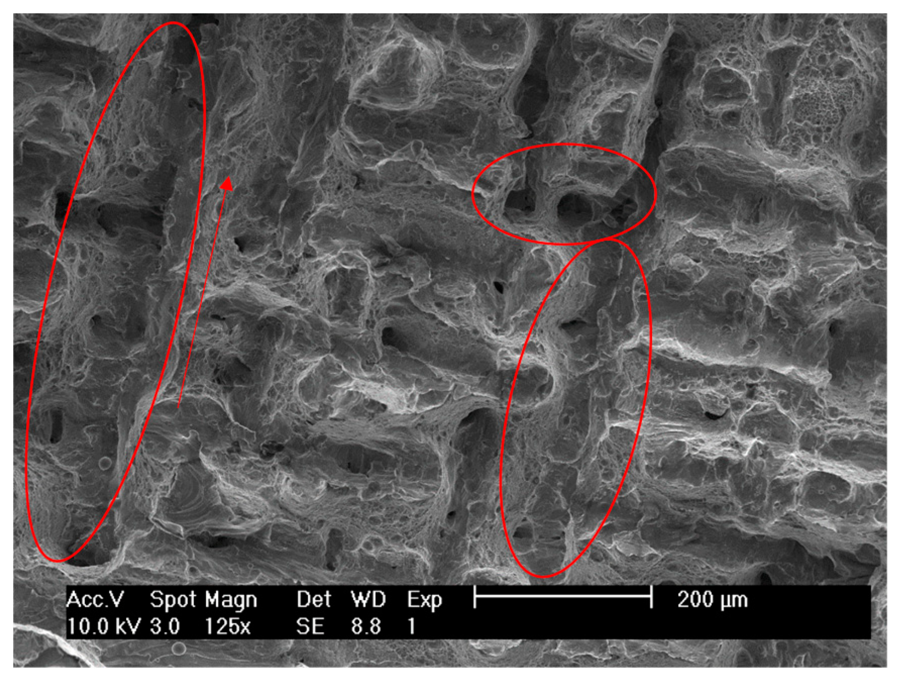 Applsci 08 01879 g013