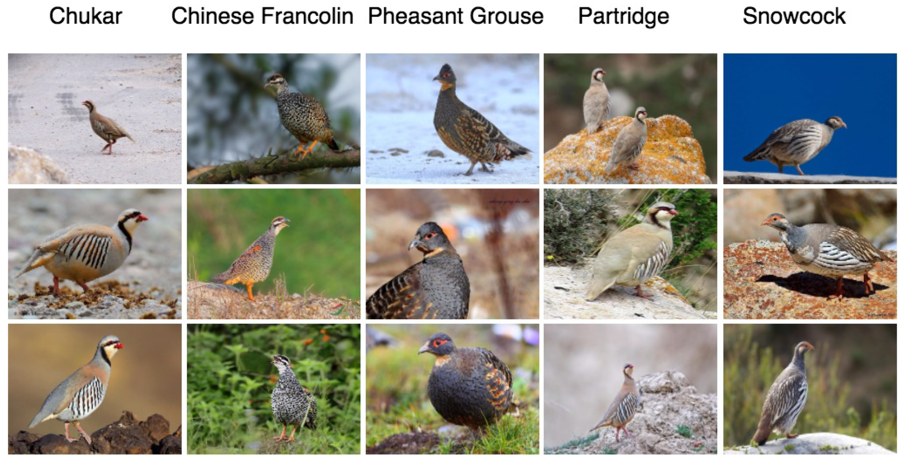 Applsci 08 01906 g001 Applsci 08 01906 g001