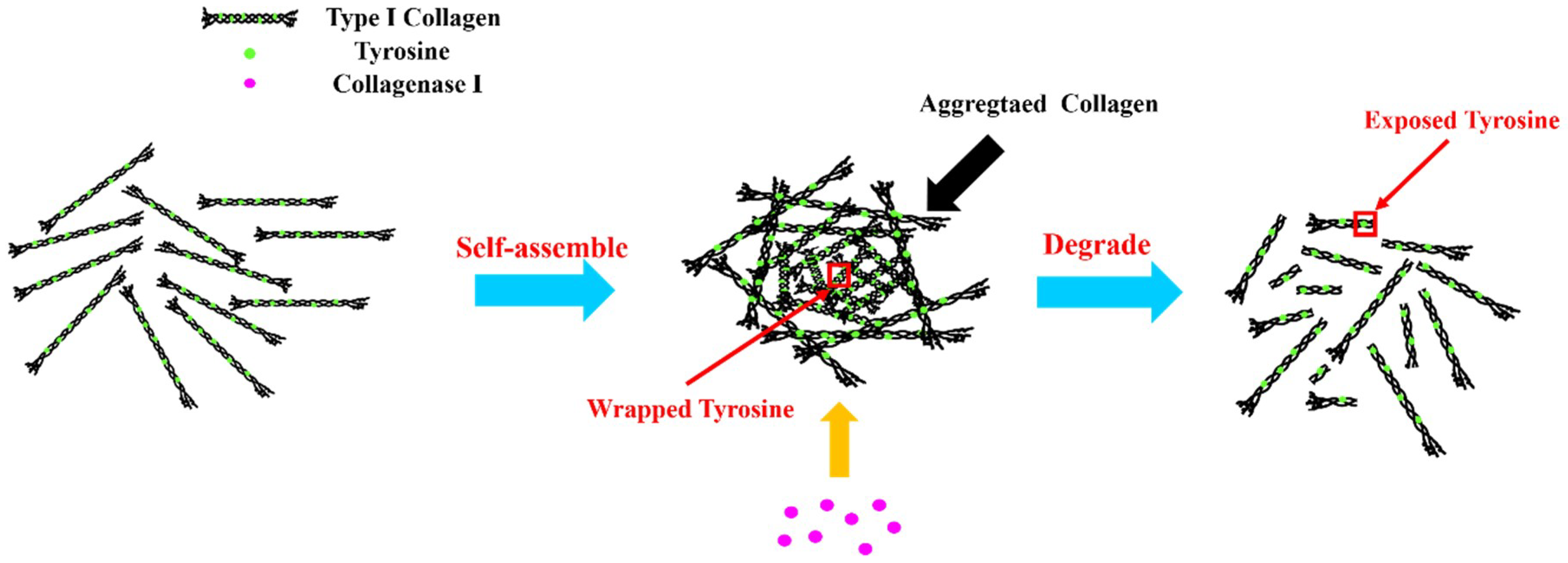 Applsci 08 01947 g002 Applsci 08 01947 g002