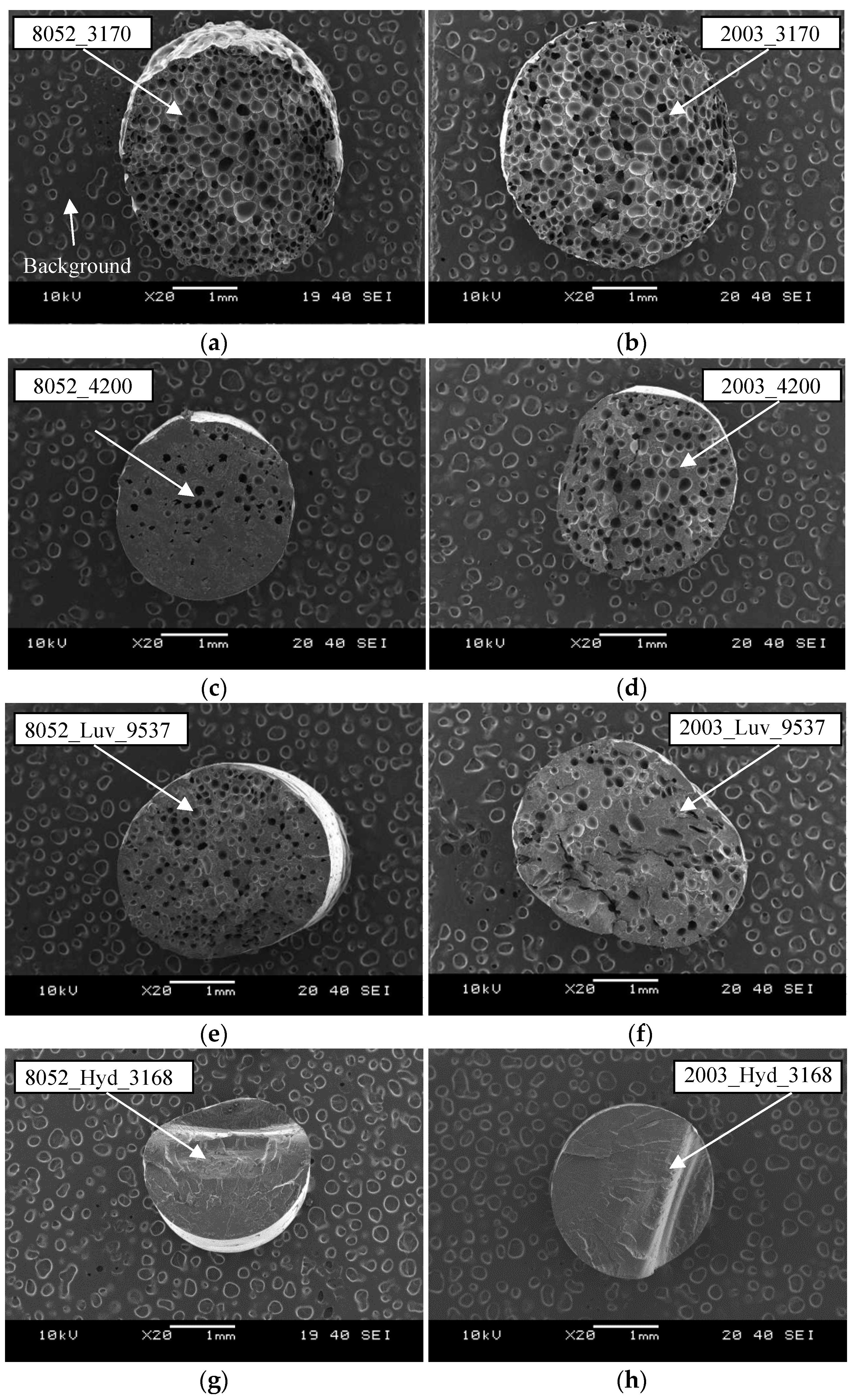 Applsci 08 01960 g008