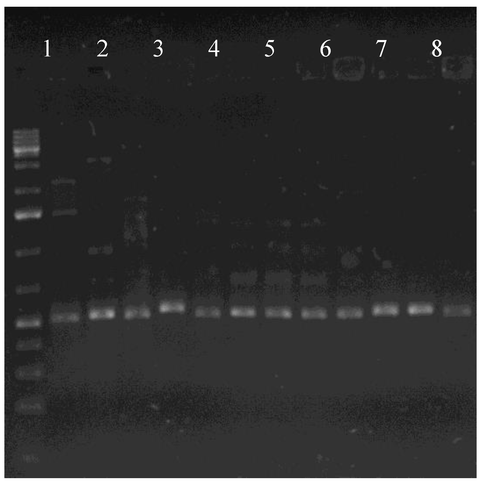 Applsci 08 01970 g003