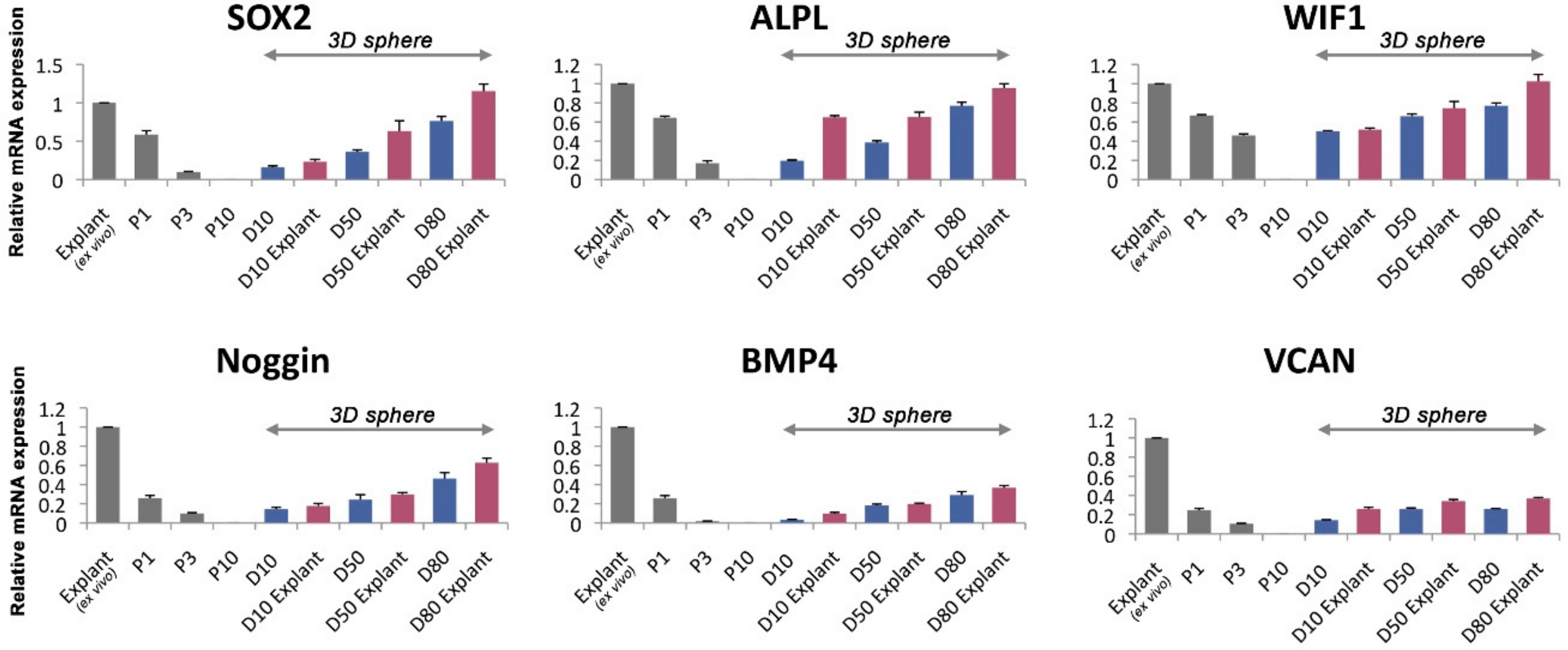 Applsci 08 01993 g005 Applsci 08 01993 g005